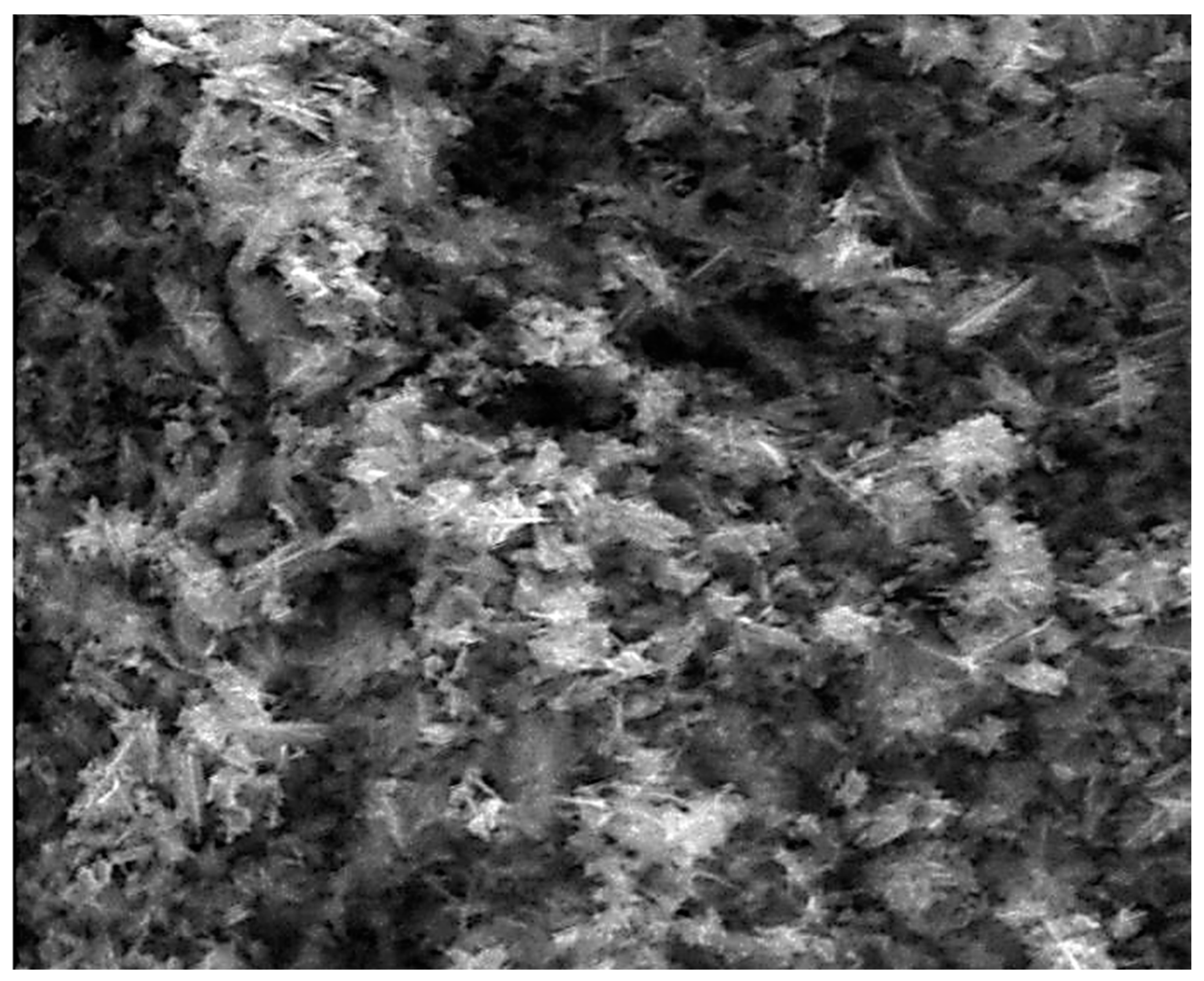 Nanomaterials 10 01321 g004a Nanomaterials 10 01321 g004a