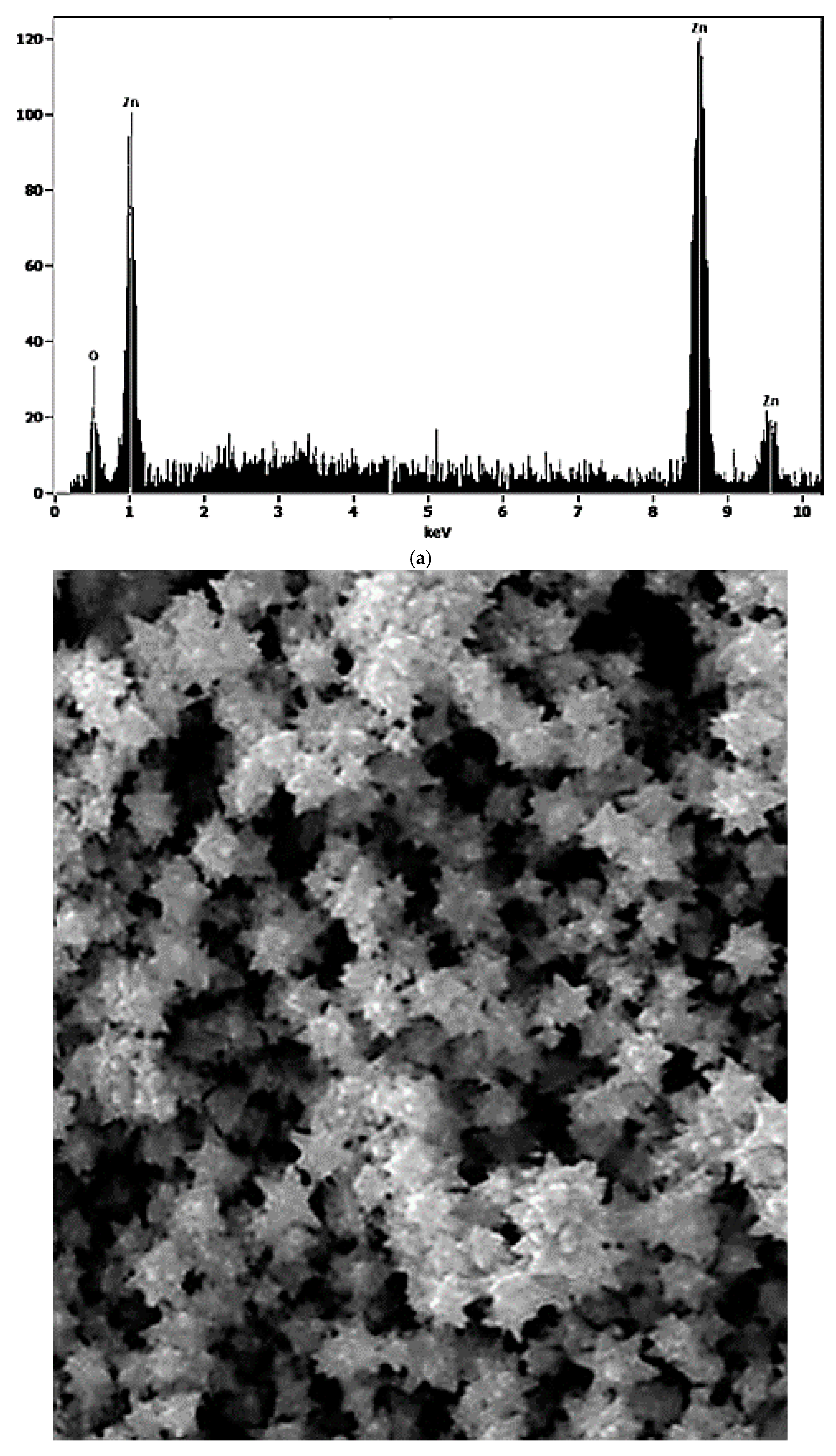 Nanomaterials 10 01321 g004b Nanomaterials 10 01321 g004b