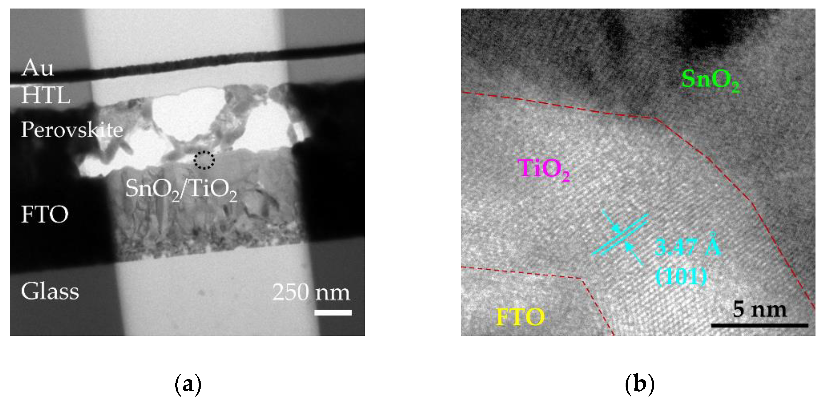 Nanomaterials 10 01322 g009 Nanomaterials 10 01322 g009