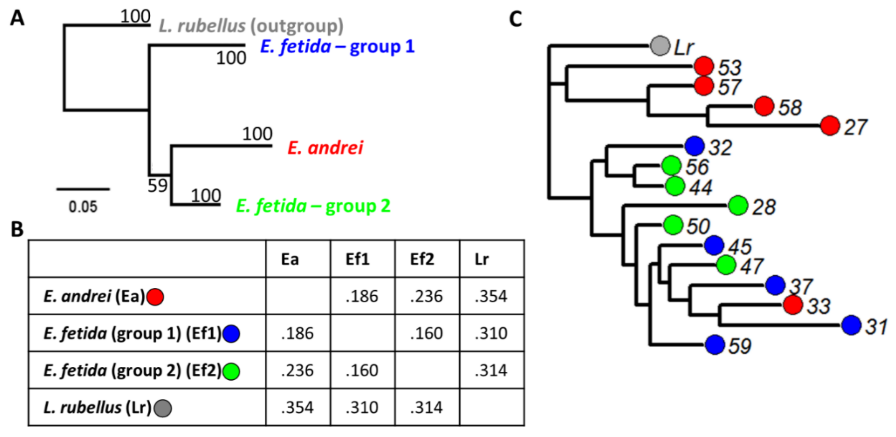 Nanomaterials 10 01337 g002
