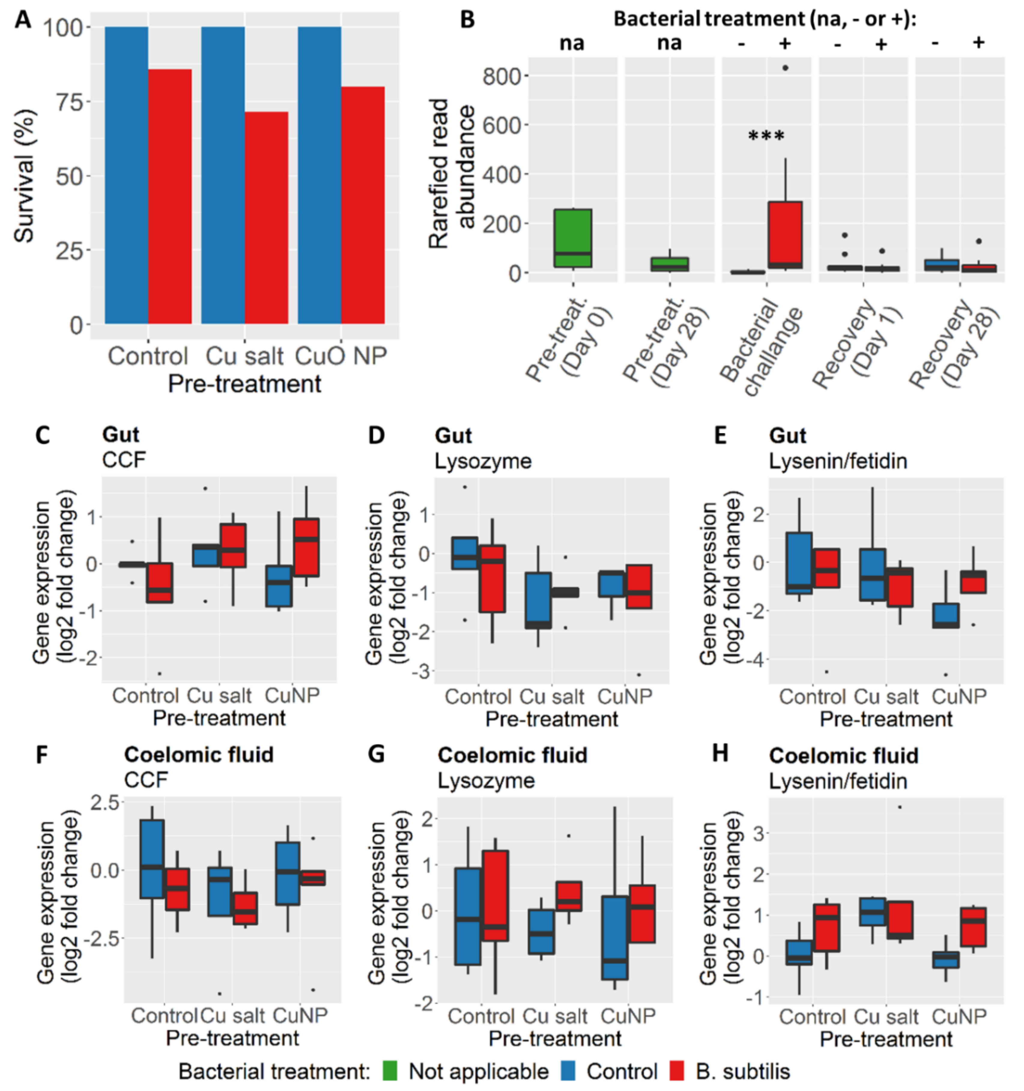 Nanomaterials 10 01337 g005