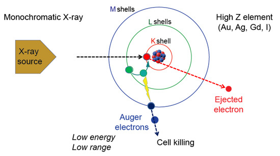 Nanomaterials 10 01341 g001 550