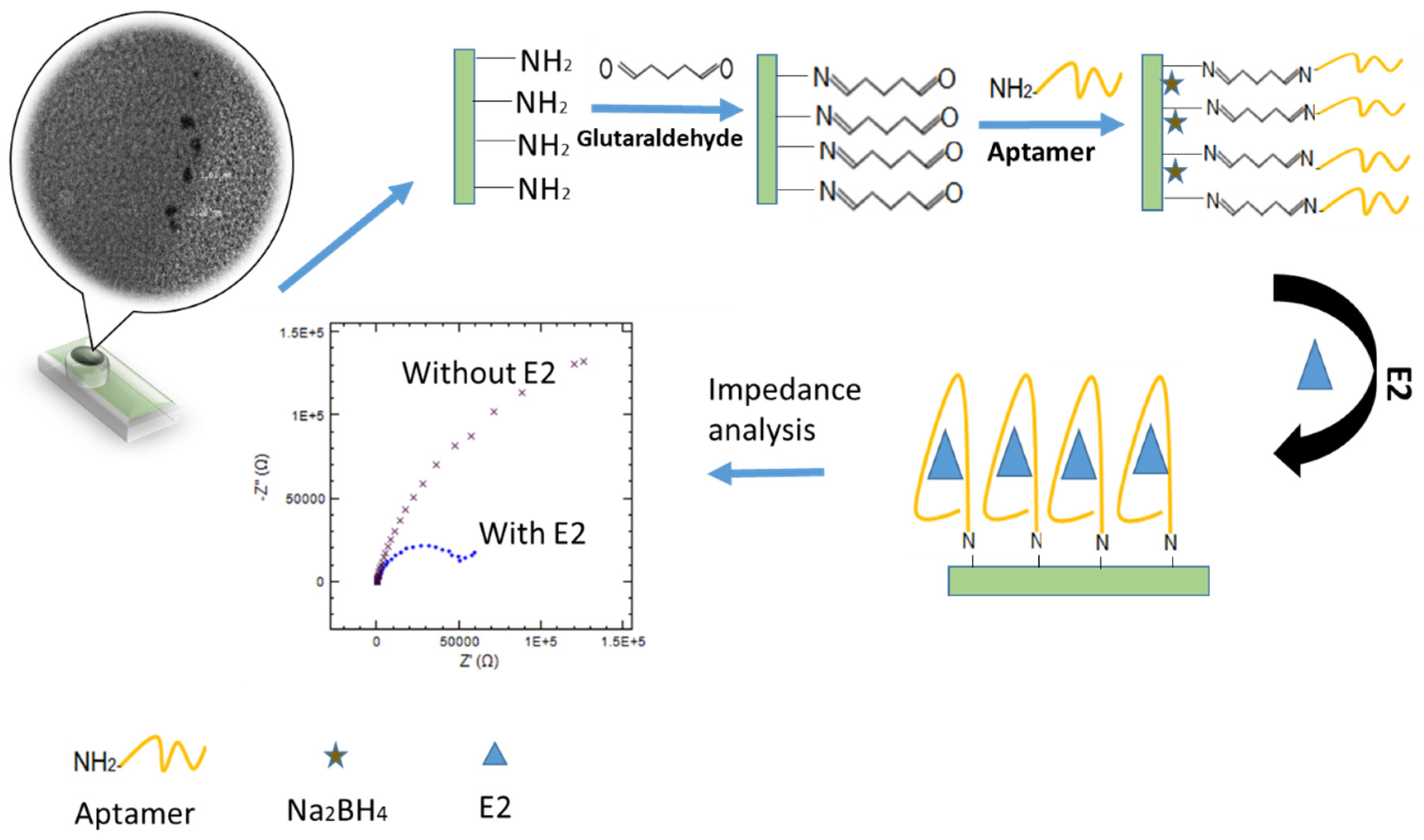 Nanomaterials 10 01346 sch001