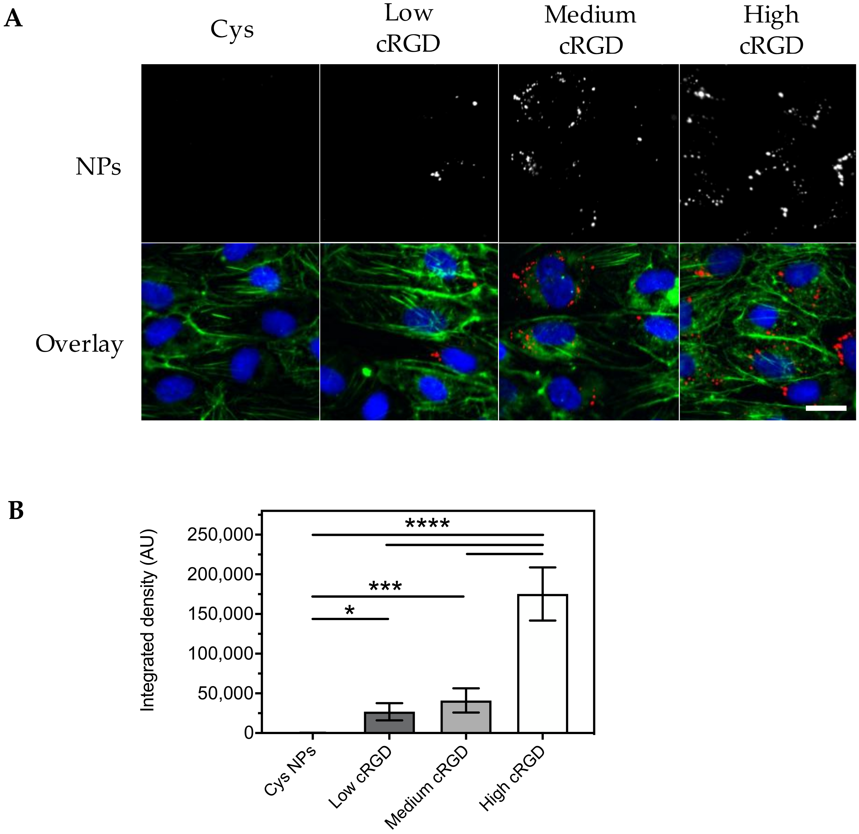 Nanomaterials 10 01353 g004 Nanomaterials 10 01353 g004
