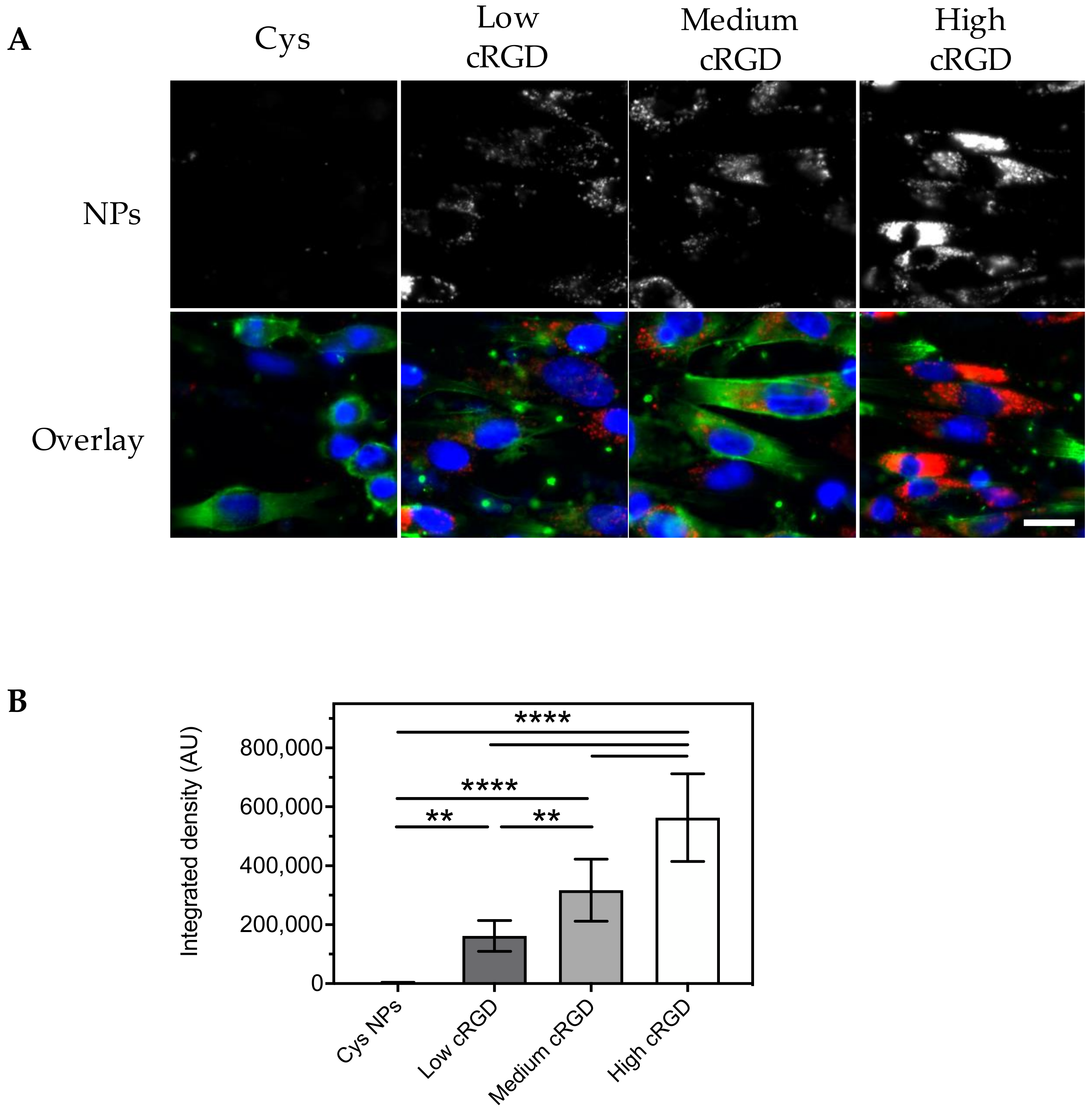 Nanomaterials 10 01353 g006 Nanomaterials 10 01353 g006