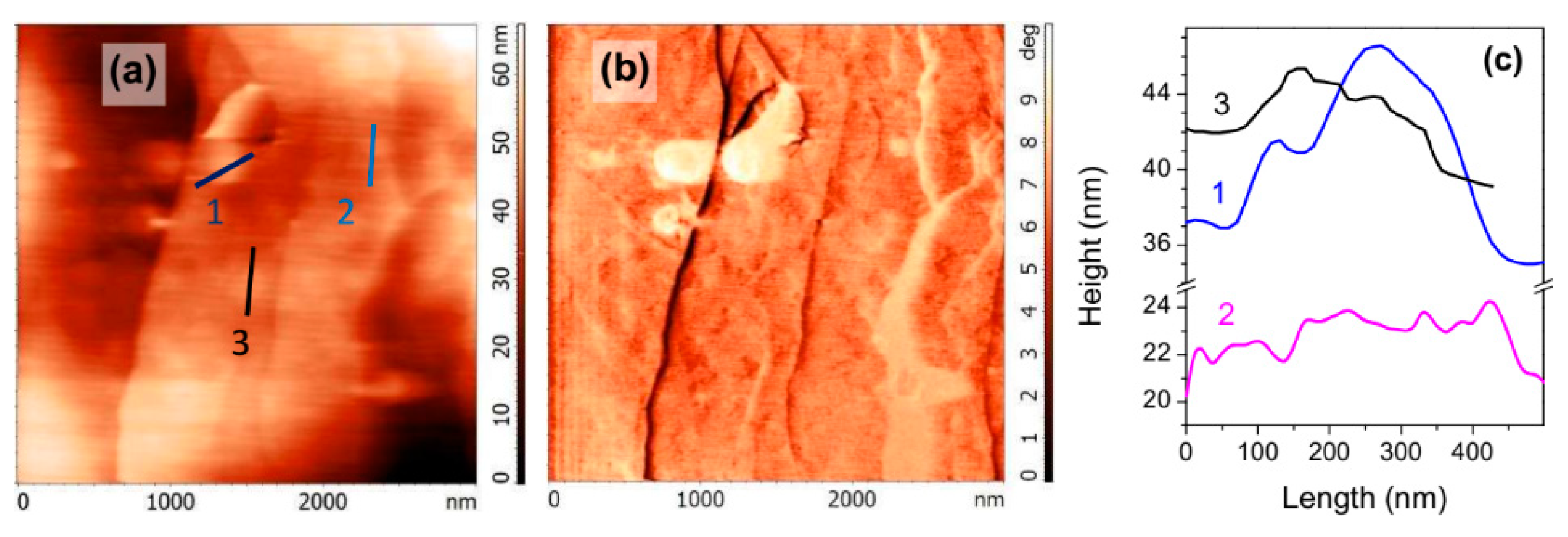 Nanomaterials 10 01362 g001 Nanomaterials 10 01362 g001