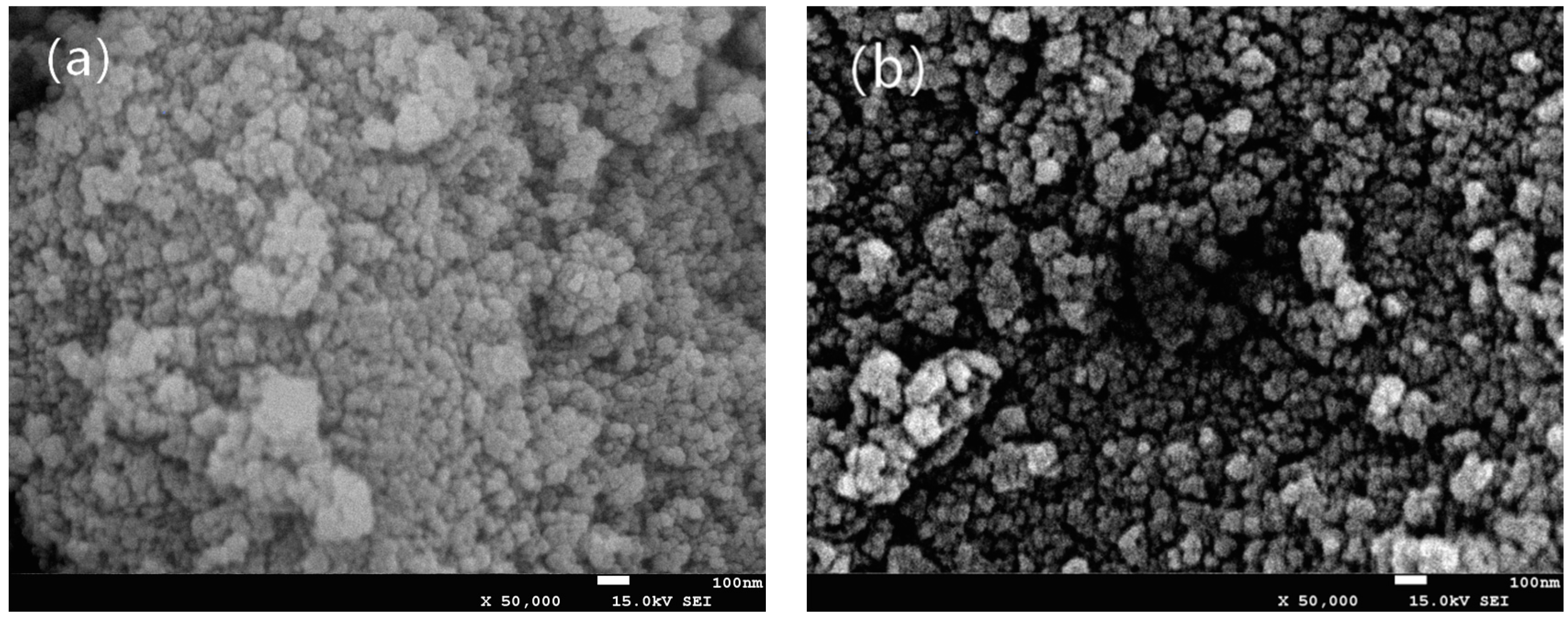 Nanomaterials 10 01365 g002