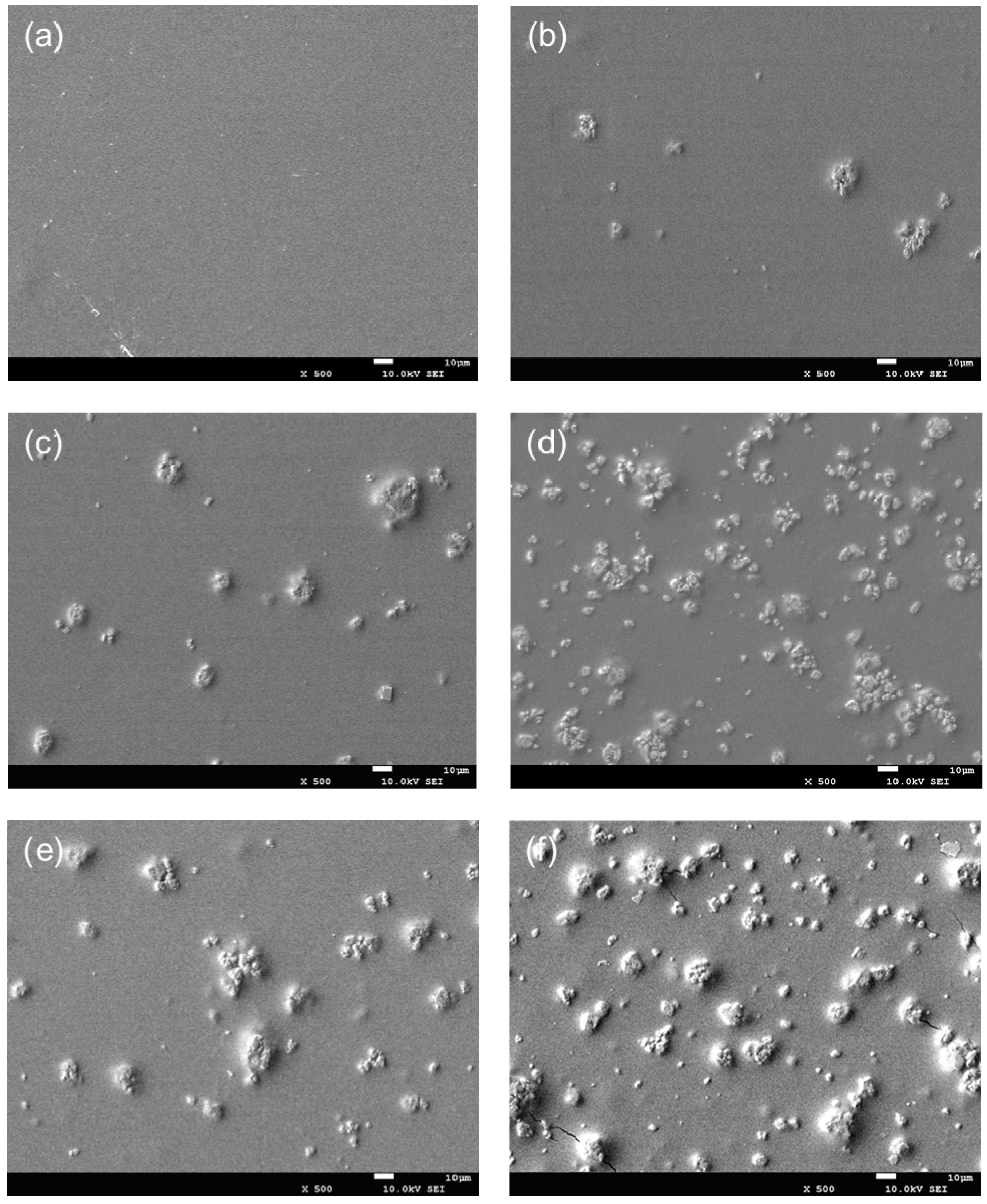 Nanomaterials 10 01365 g003