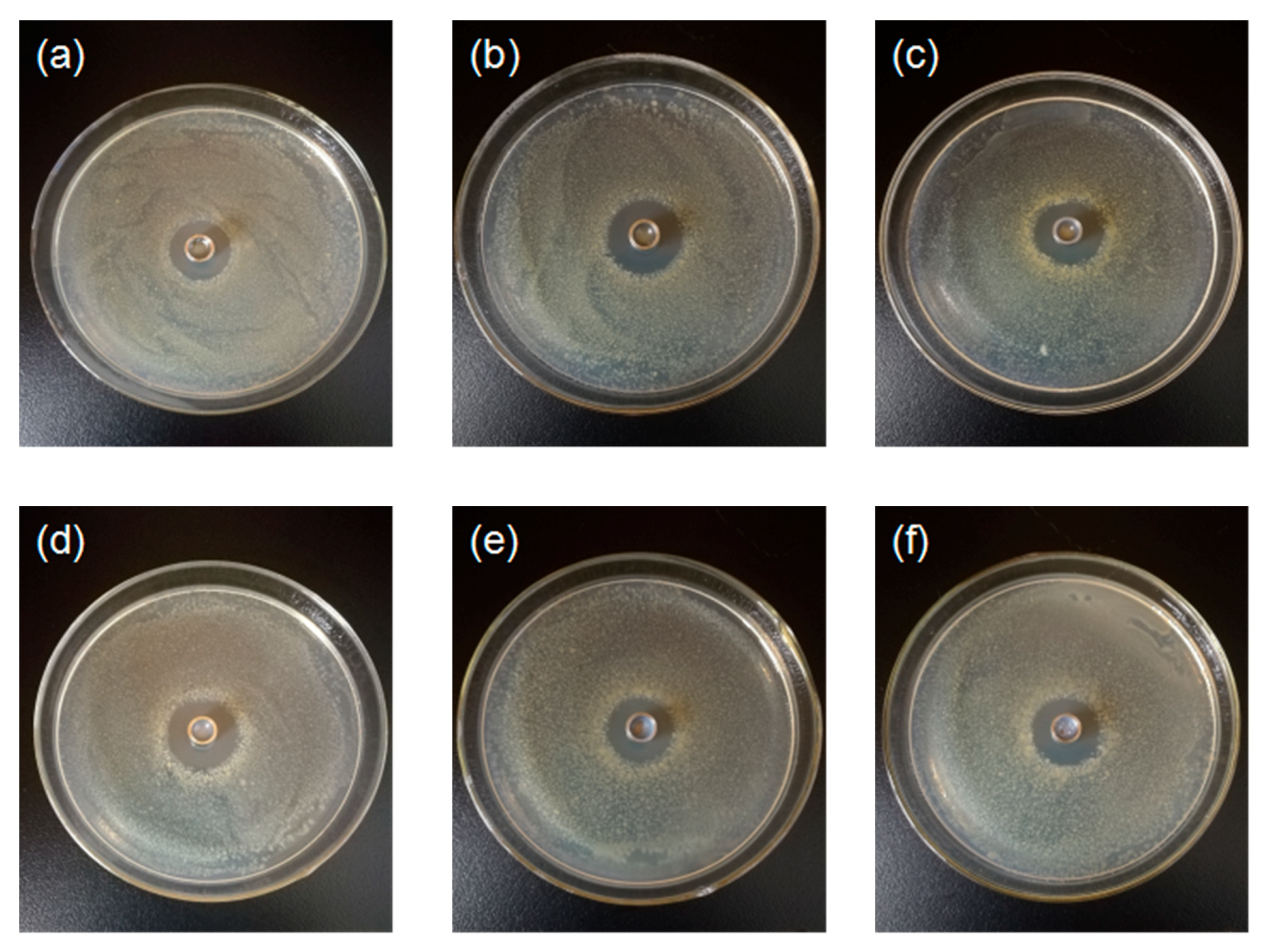 Nanomaterials 10 01365 g009