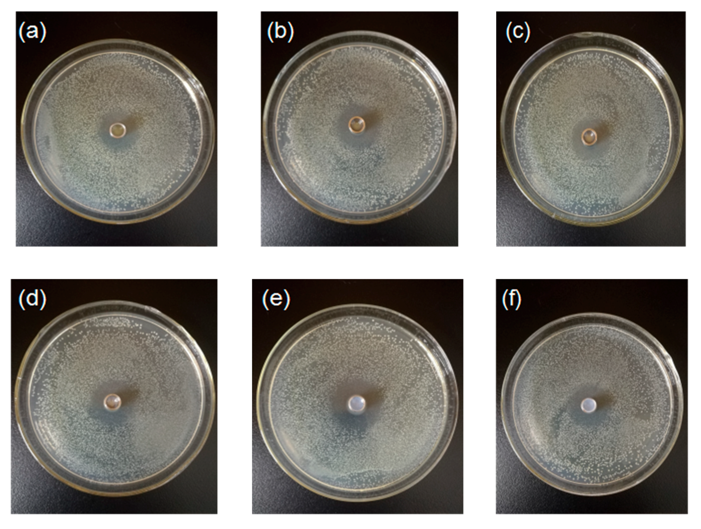 Nanomaterials 10 01365 g010
