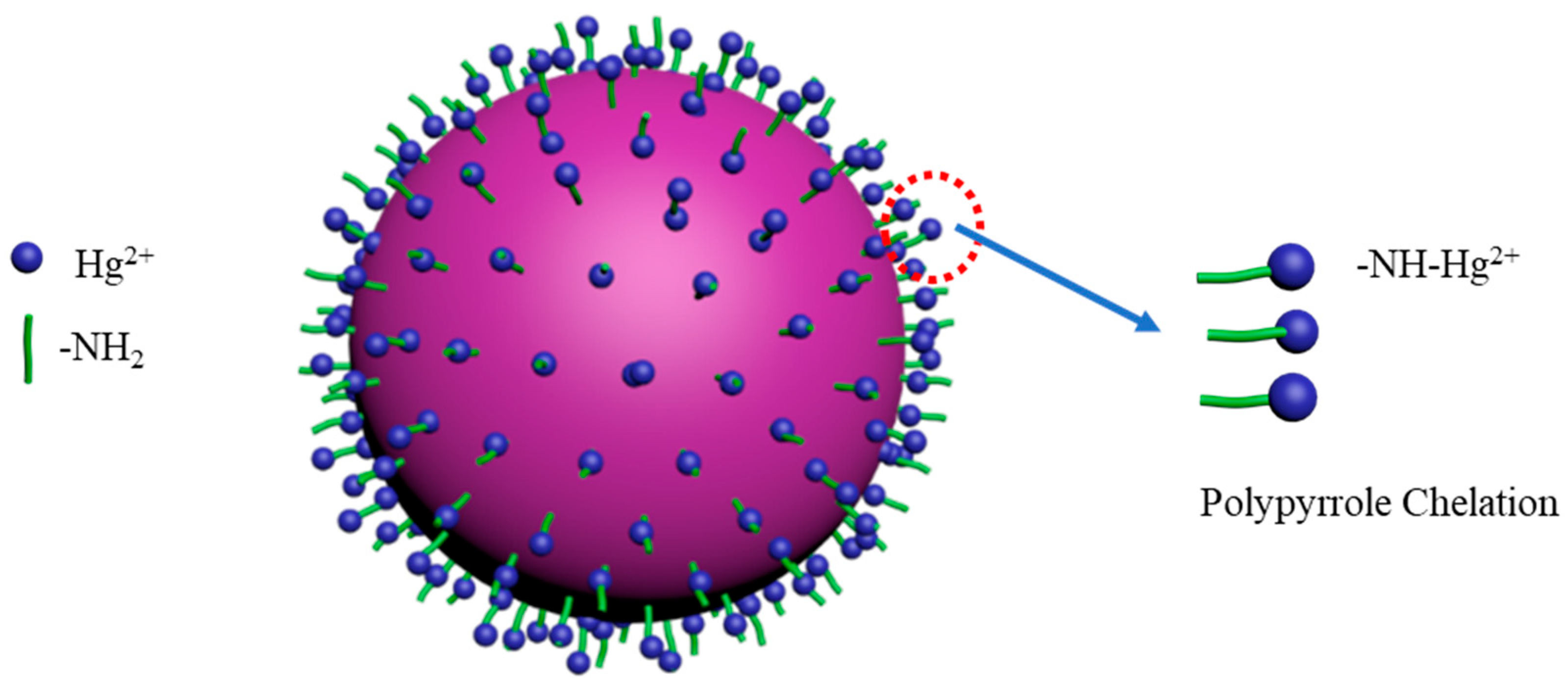 Nanomaterials 10 01370 g017