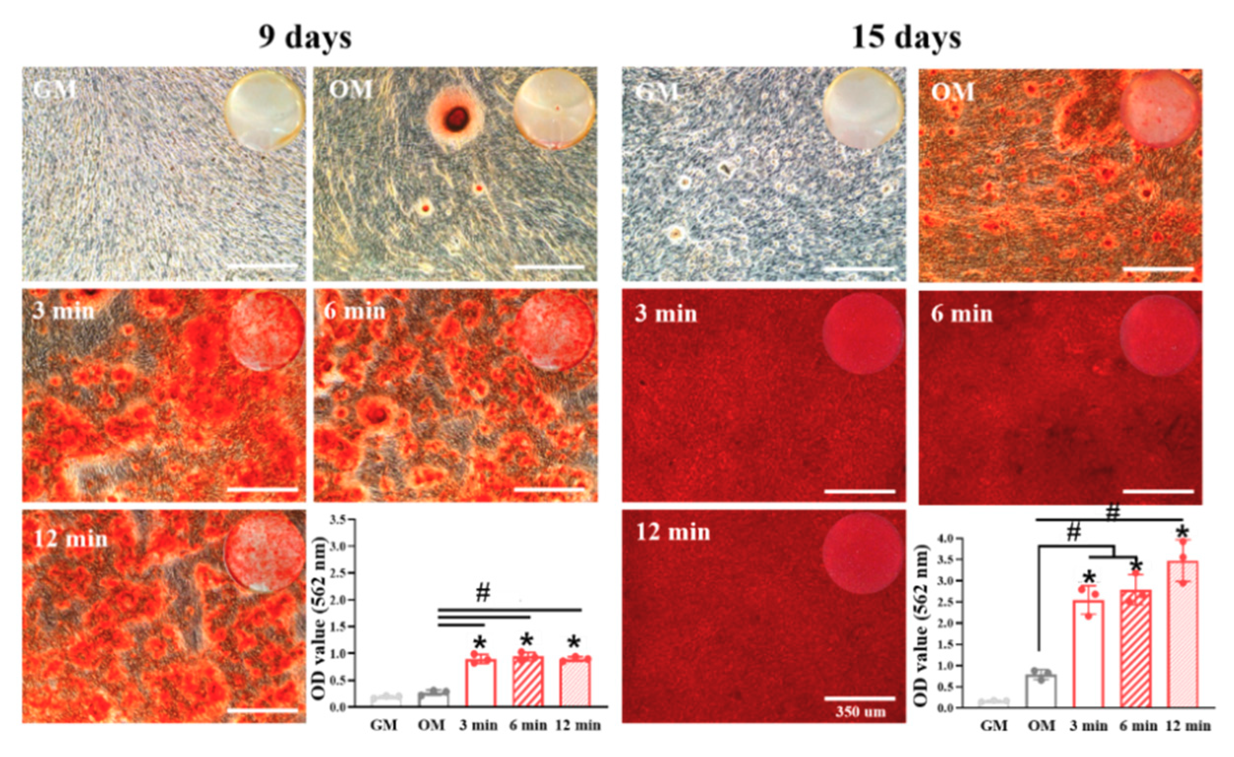 Nanomaterials 10 01373 g004 Nanomaterials 10 01373 g004