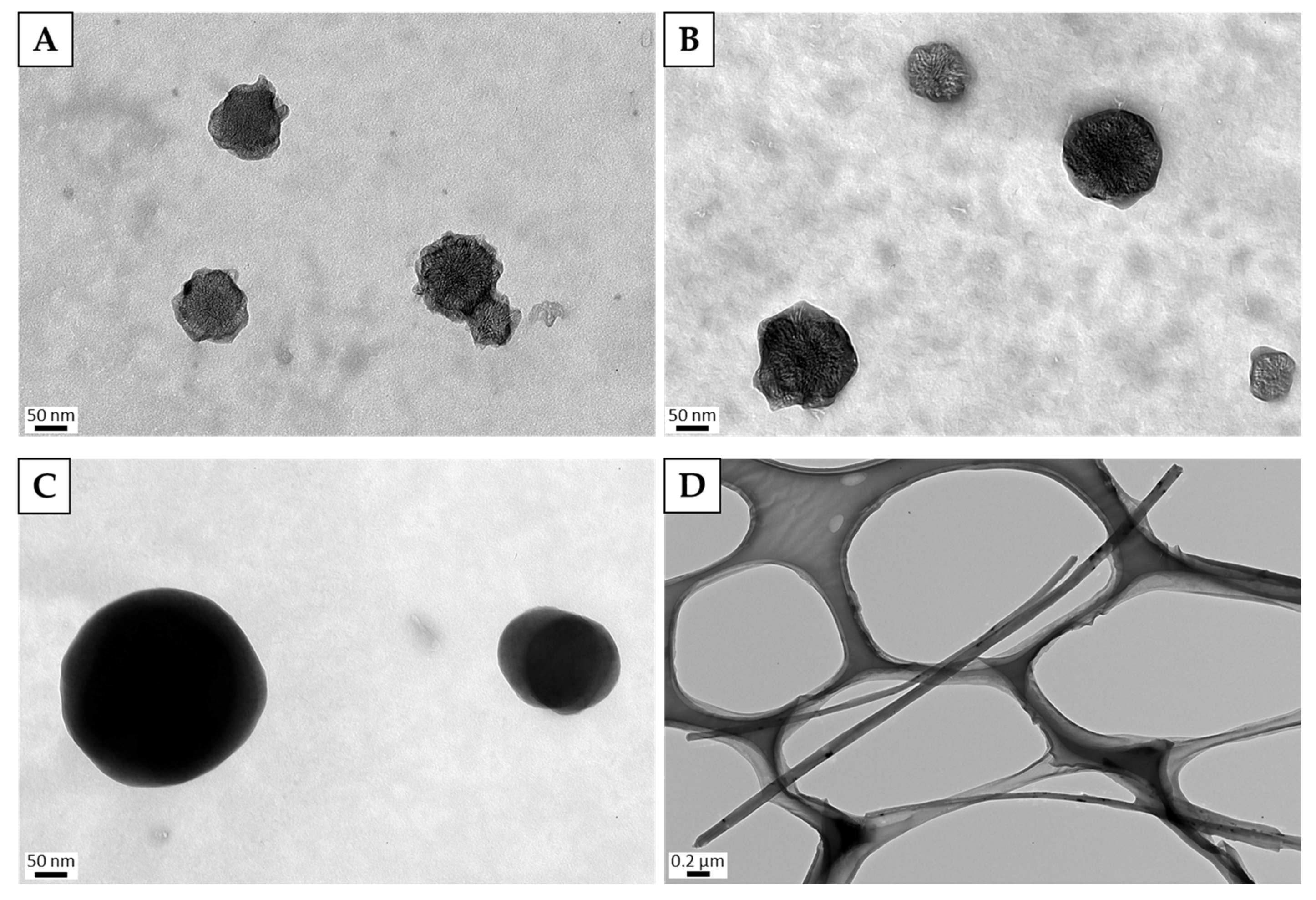 Nanomaterials 10 01374 g001 Nanomaterials 10 01374 g001