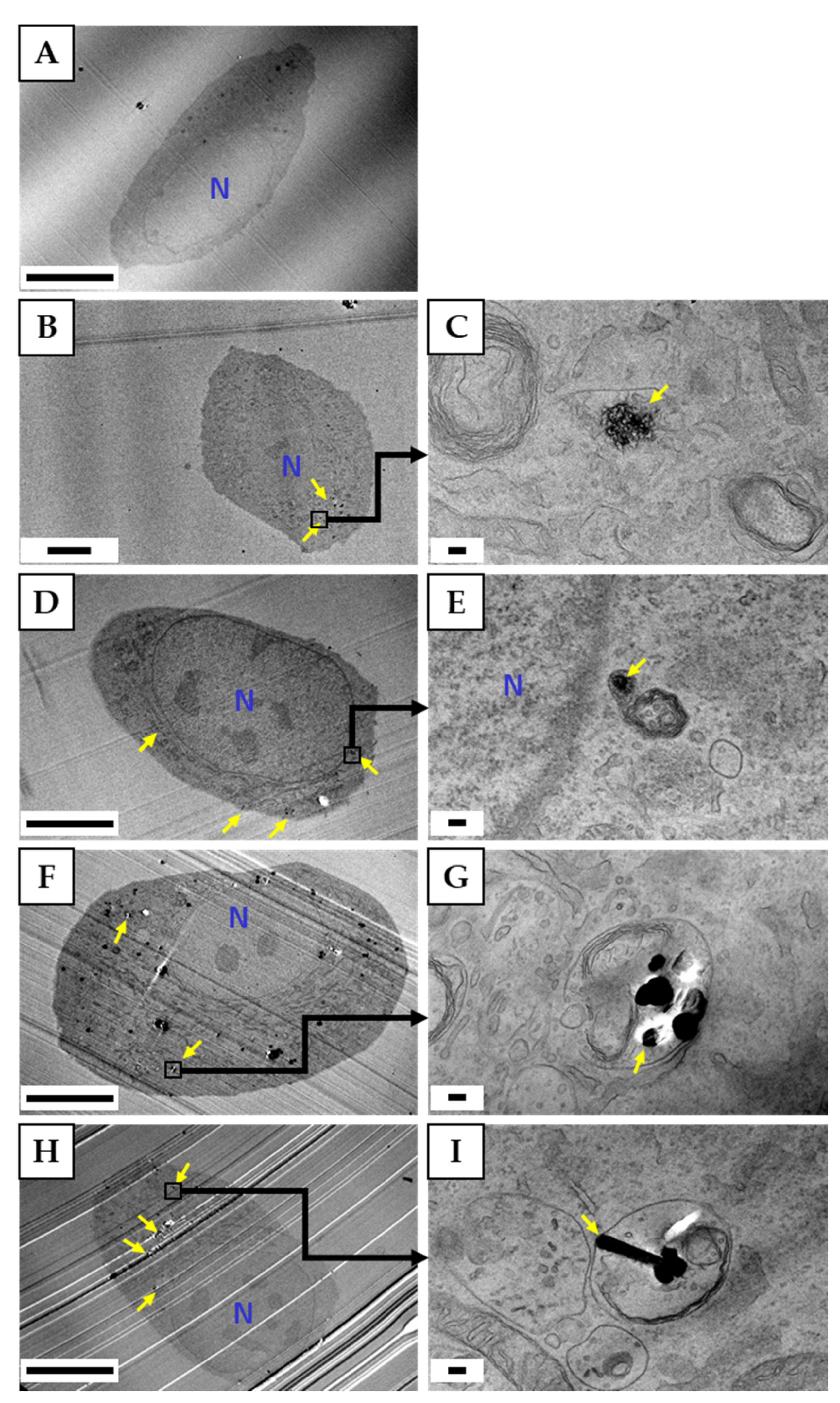 Nanomaterials 10 01374 g005 Nanomaterials 10 01374 g005