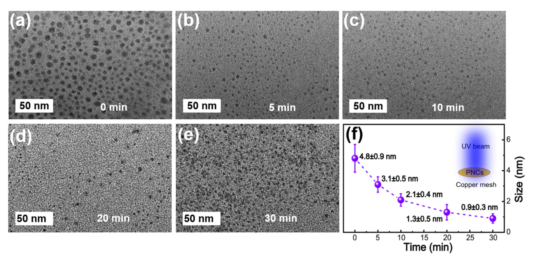 Nanomaterials 10 01375 g014