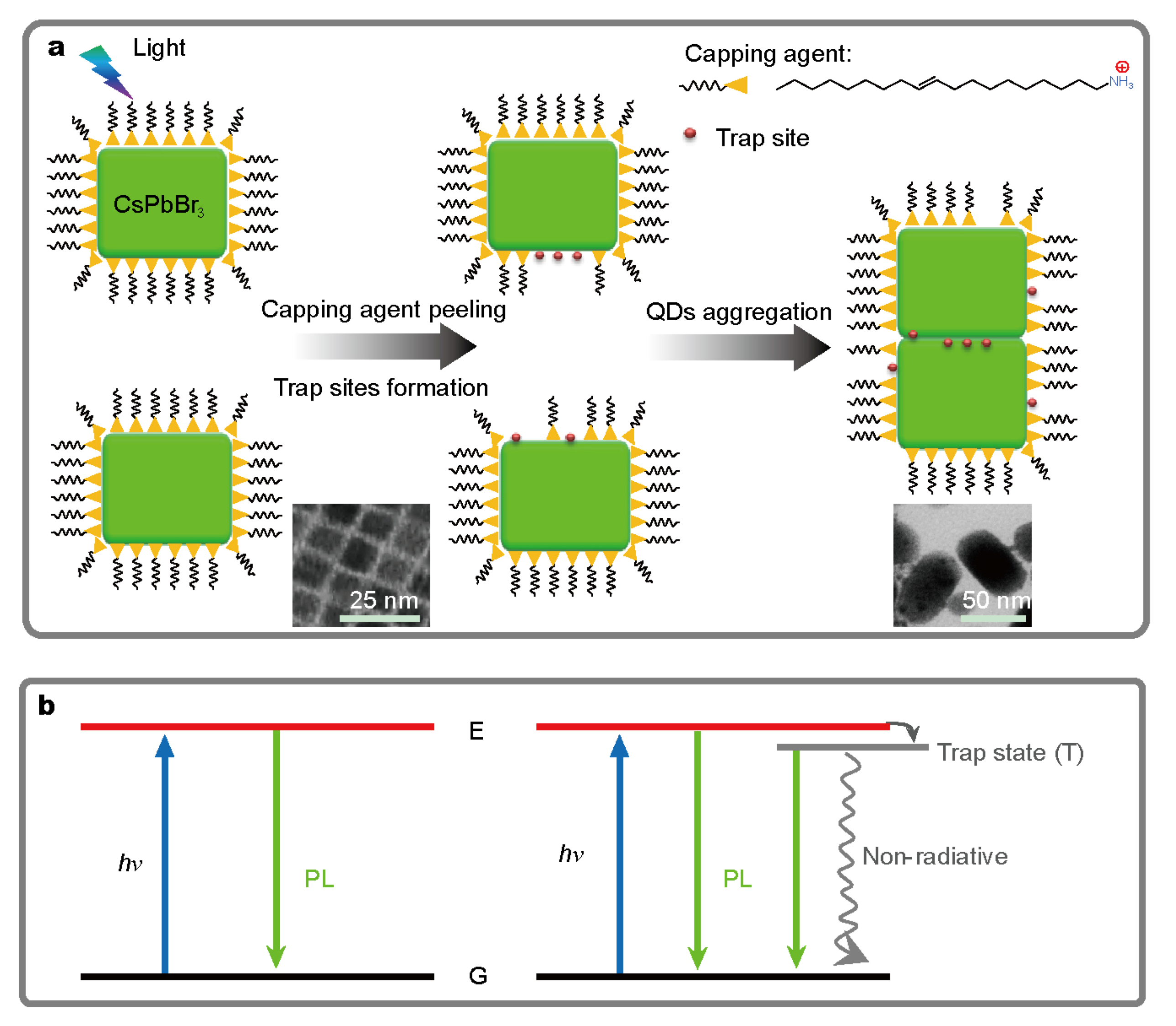 Nanomaterials 10 01375 g019