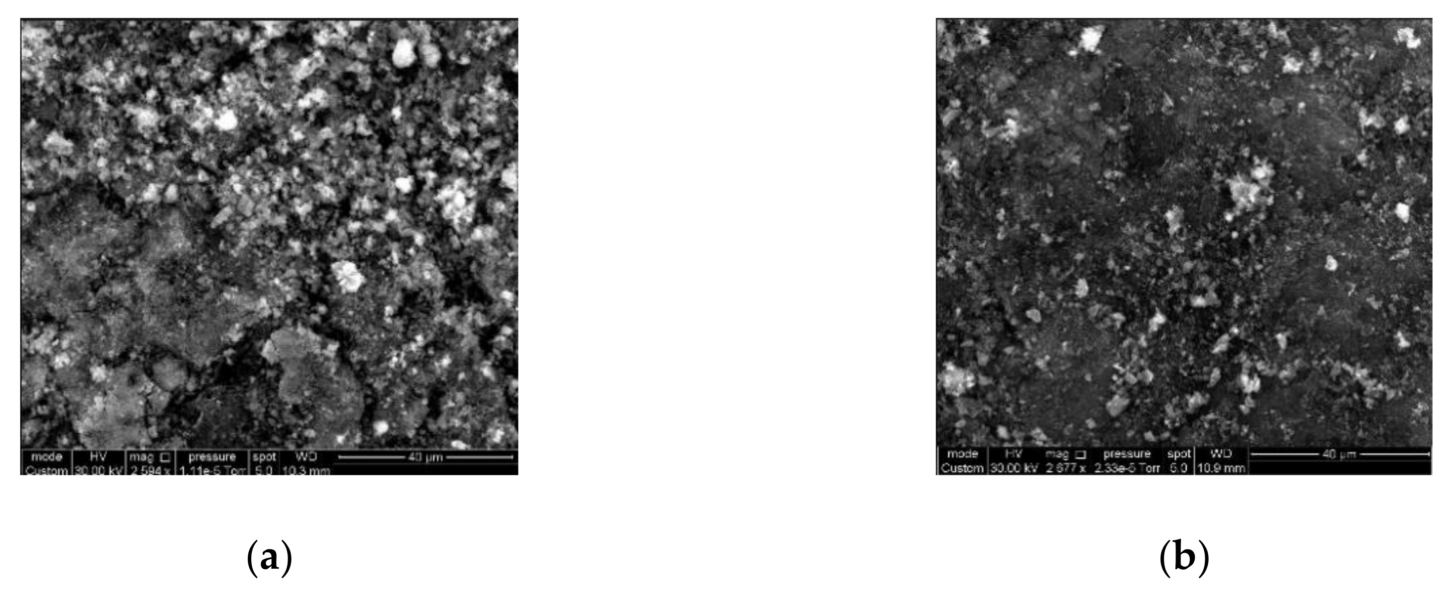 Nanomaterials 10 01379 g001