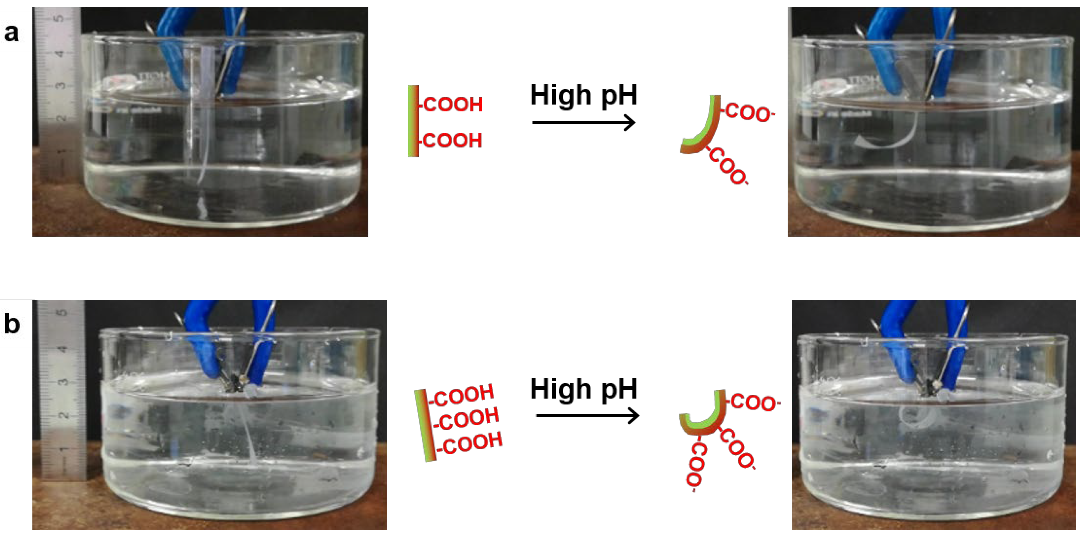 Nanomaterials 10 01380 g002