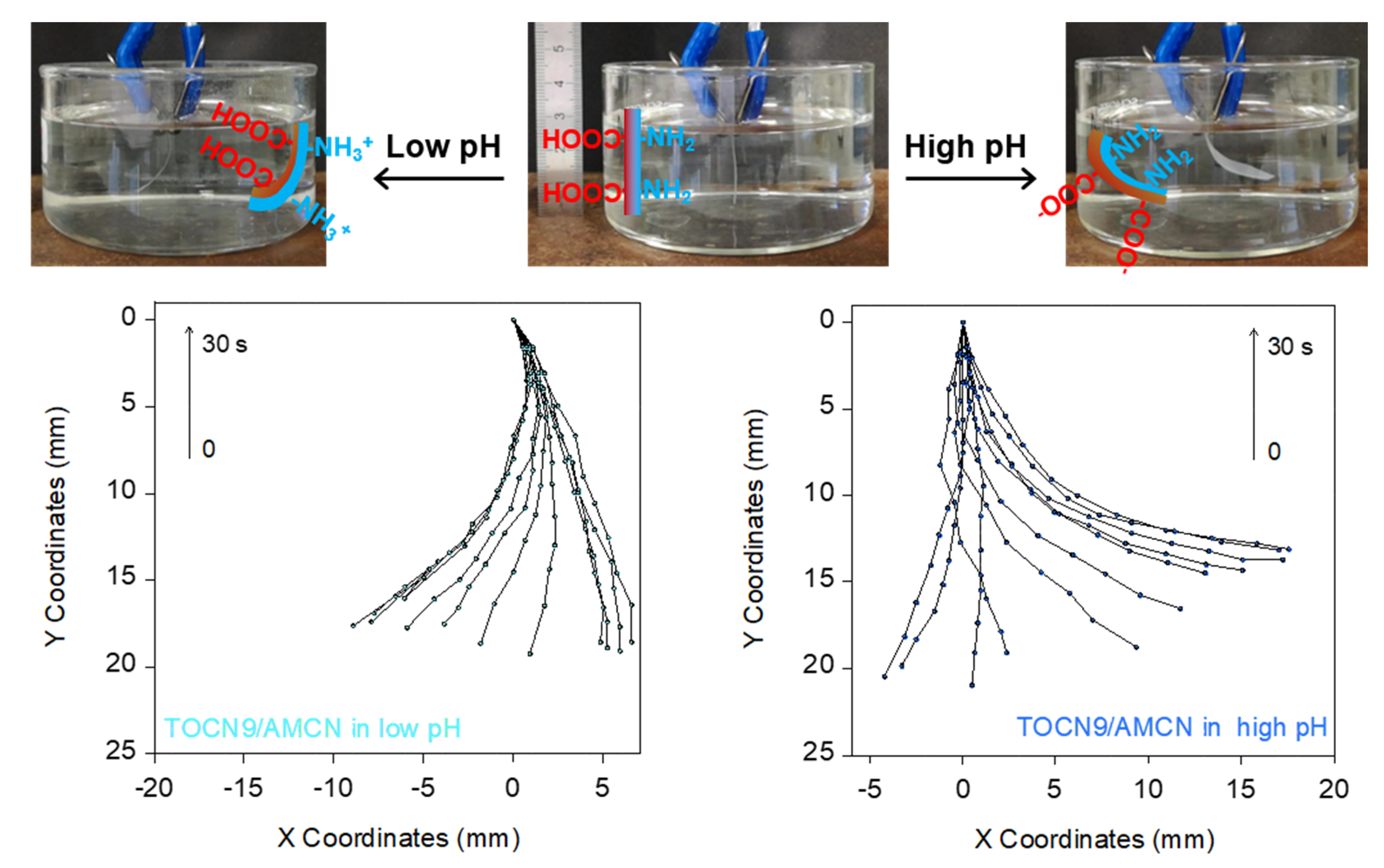 Nanomaterials 10 01380 g007