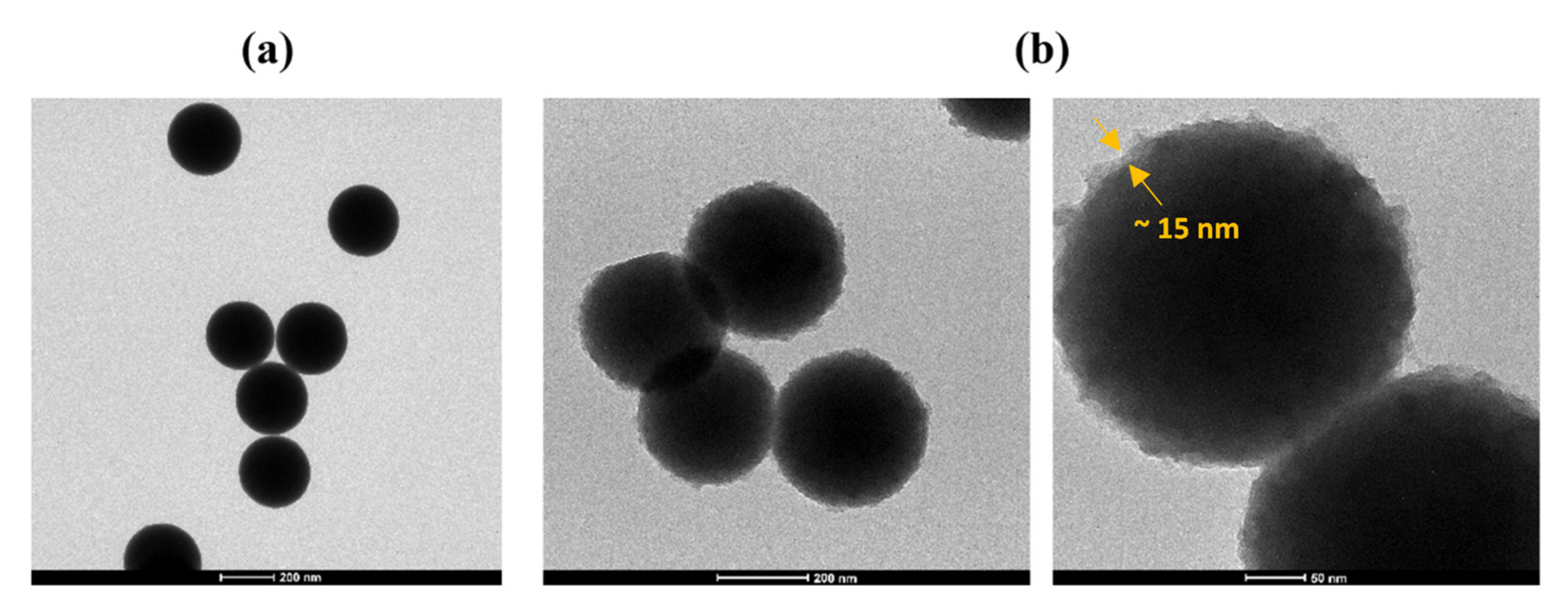 Nanomaterials 10 01388 g003