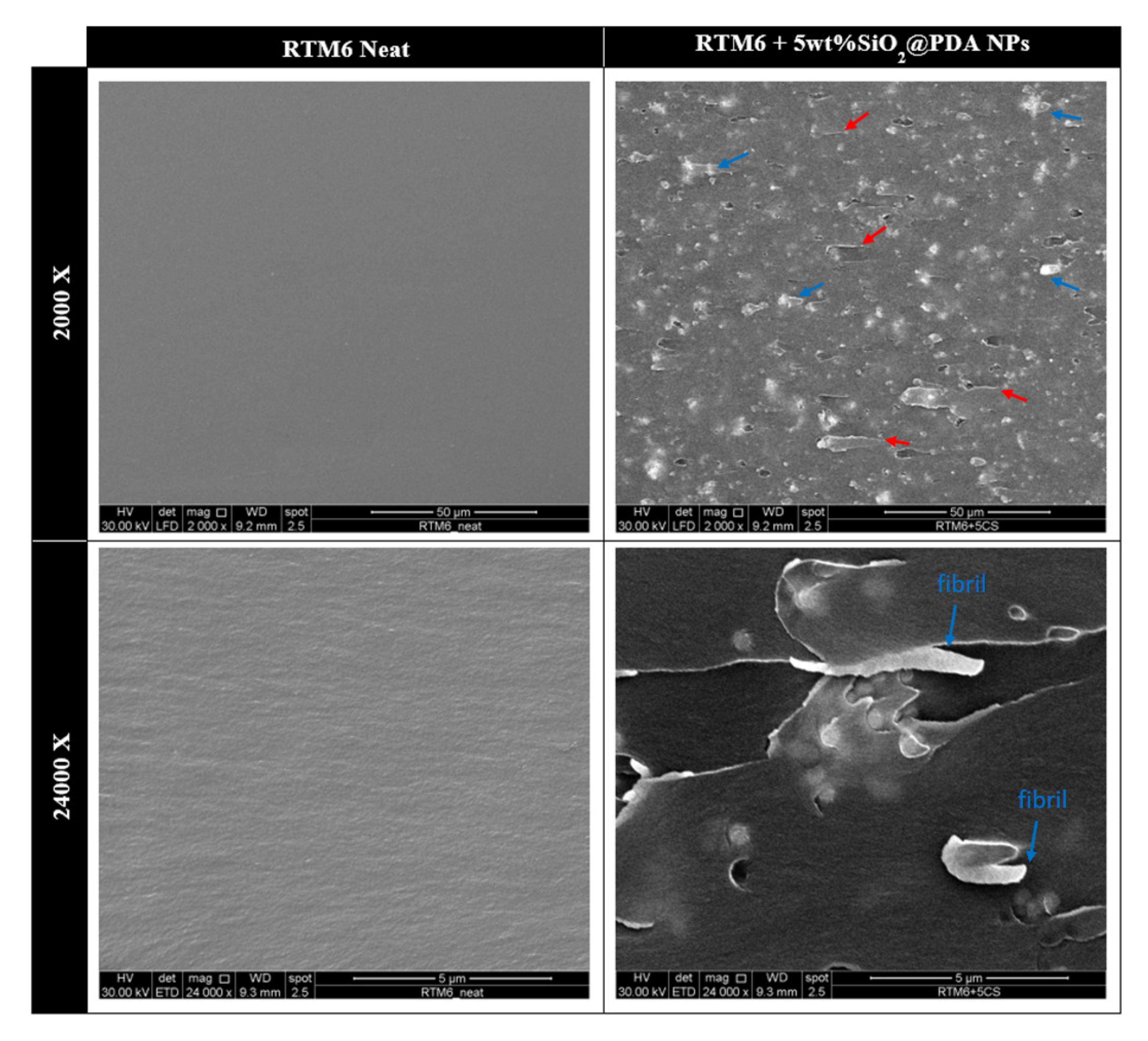 Nanomaterials 10 01388 g011