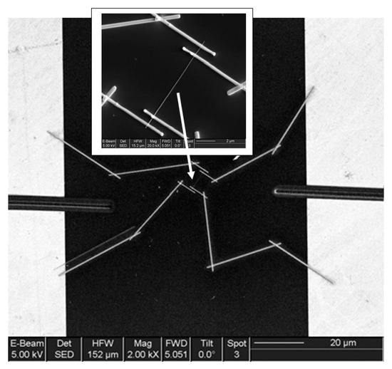 Current Trends in Nanomaterials for Metal Oxide-Based