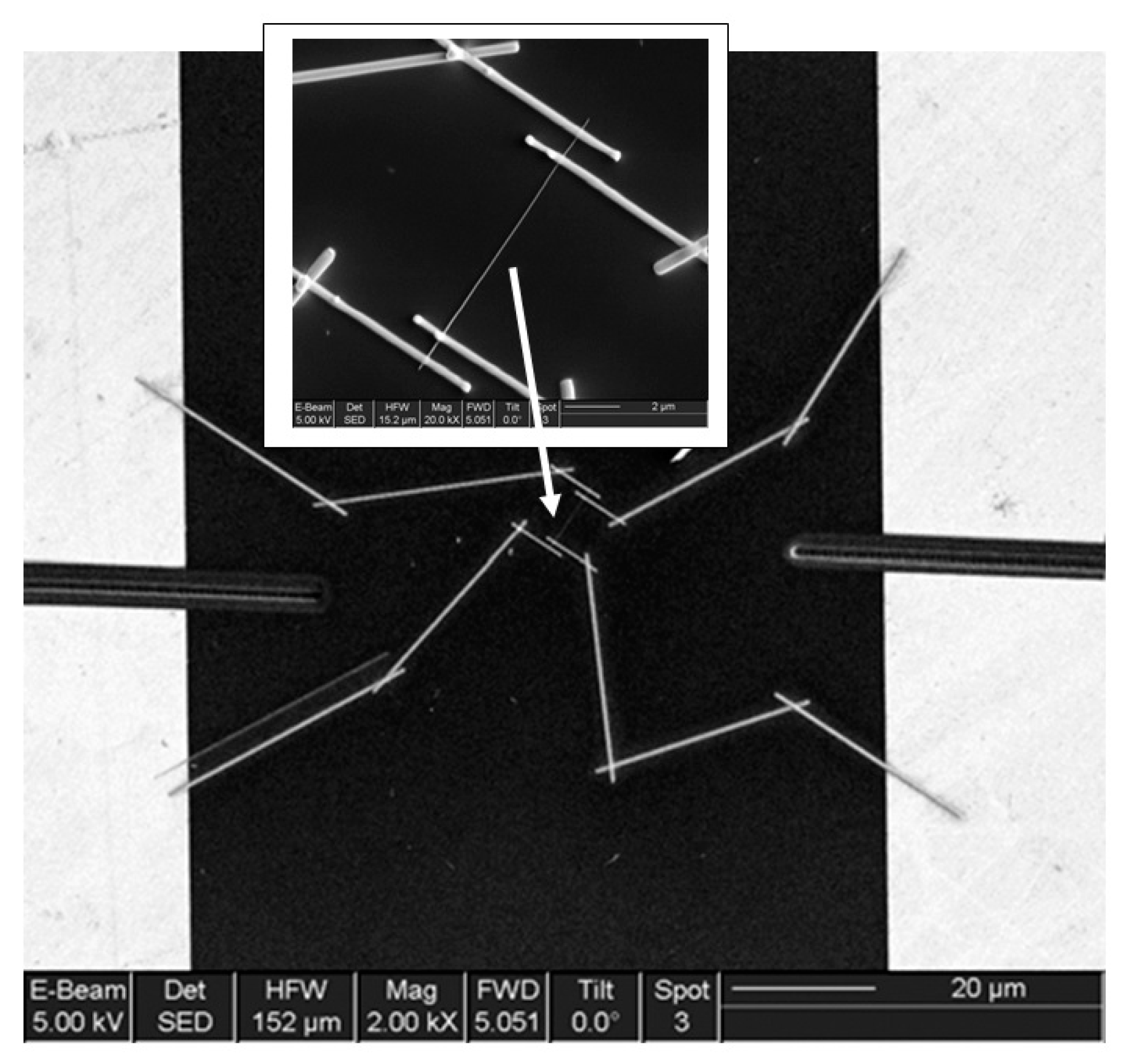 Nanomaterials 10 01392 g014 Nanomaterials 10 01392 g014