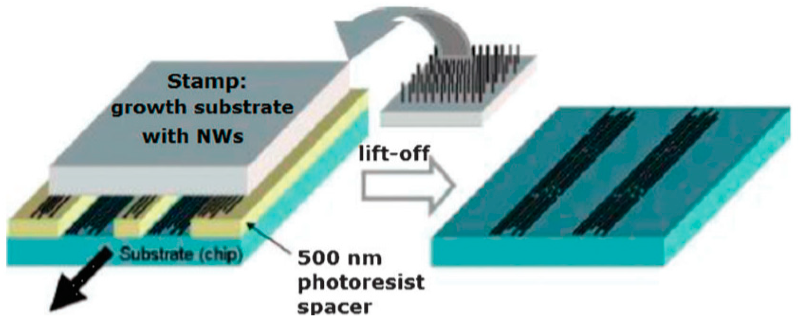 Nanomaterials 10 01392 g018 Nanomaterials 10 01392 g018