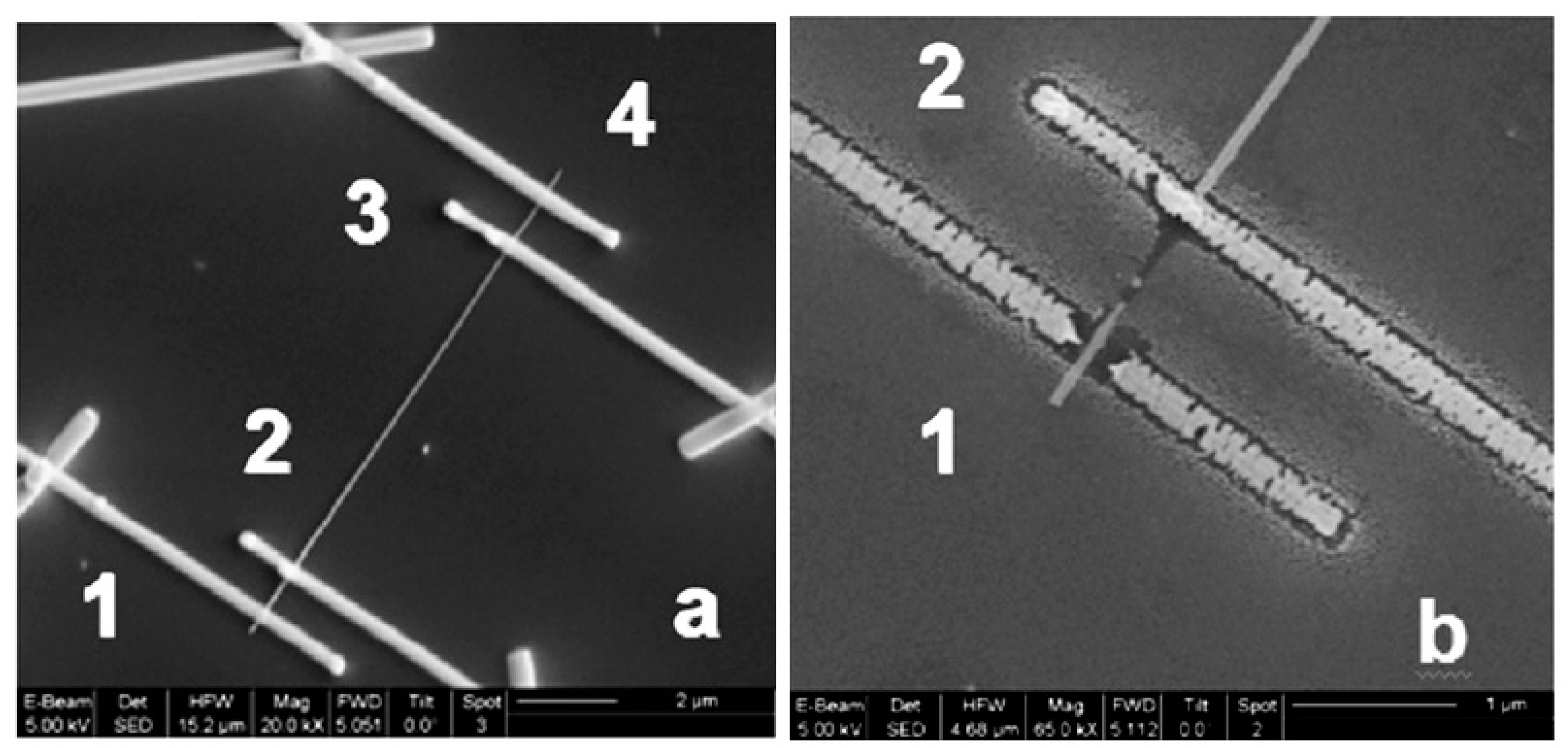 Nanomaterials 10 01392 g020 Nanomaterials 10 01392 g020