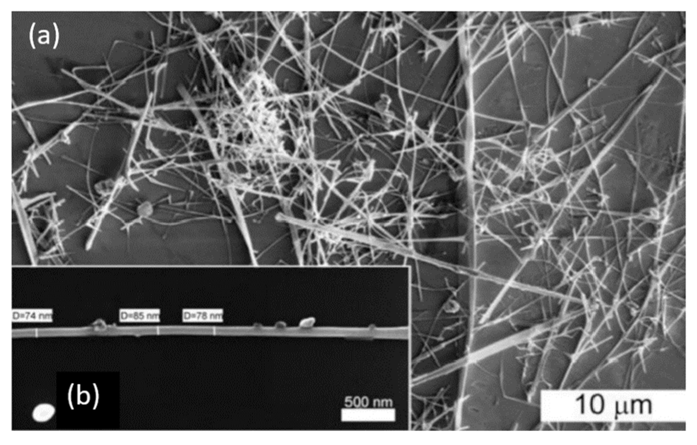 Nanomaterials 10 01392 g022 Nanomaterials 10 01392 g022