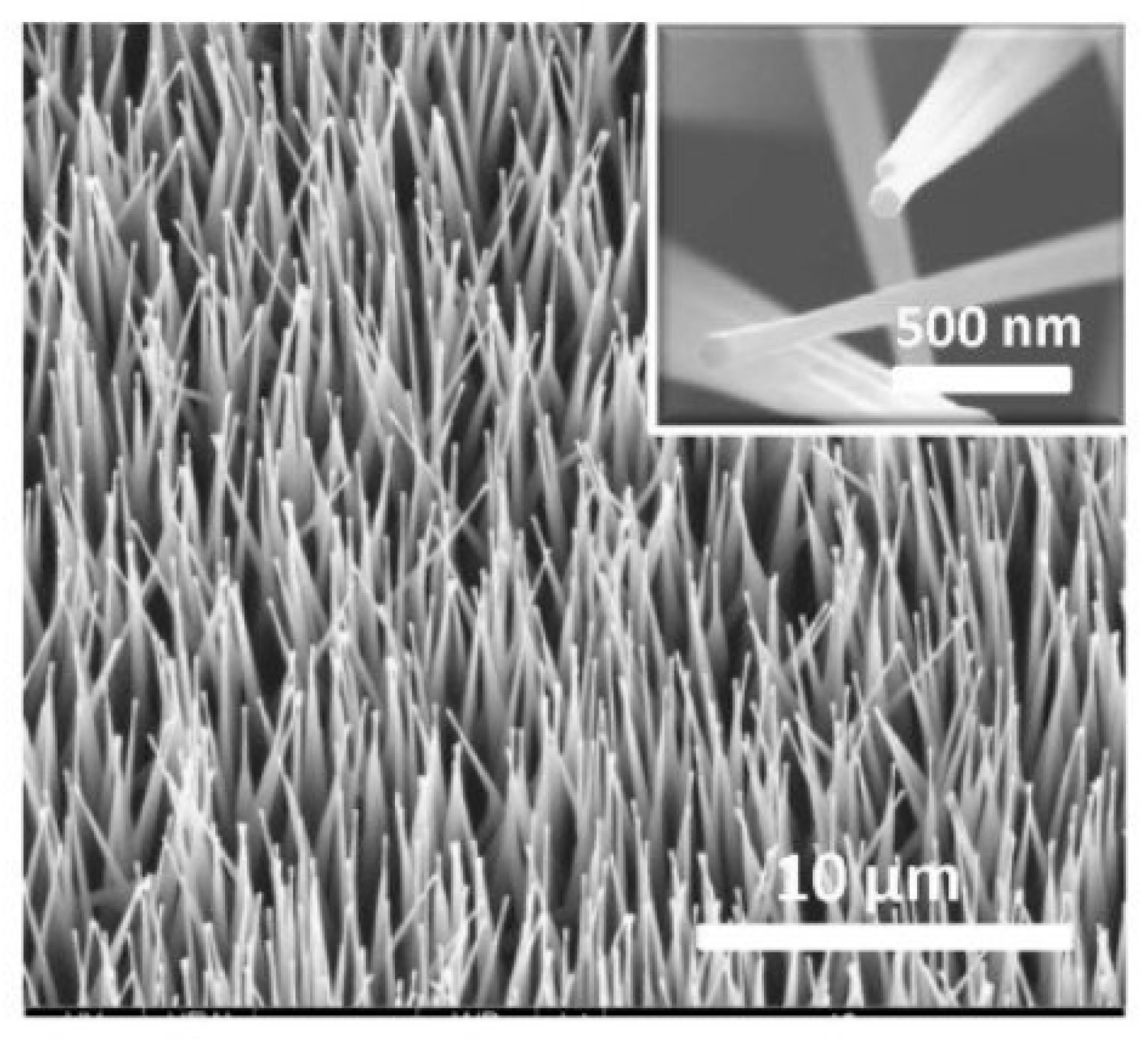 Nanomaterials 10 01392 g026 Nanomaterials 10 01392 g026