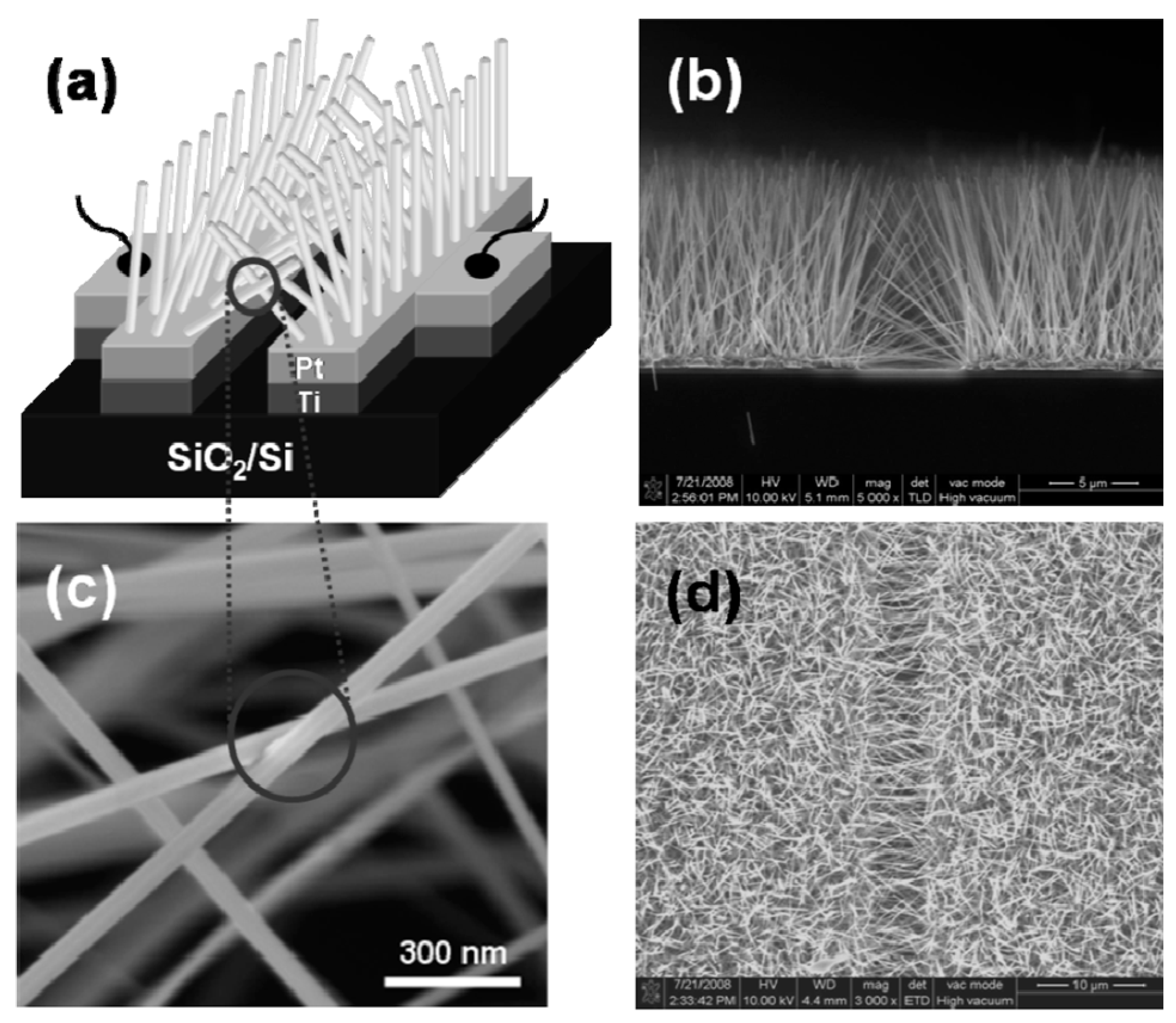 Nanomaterials 10 01392 g030 Nanomaterials 10 01392 g030