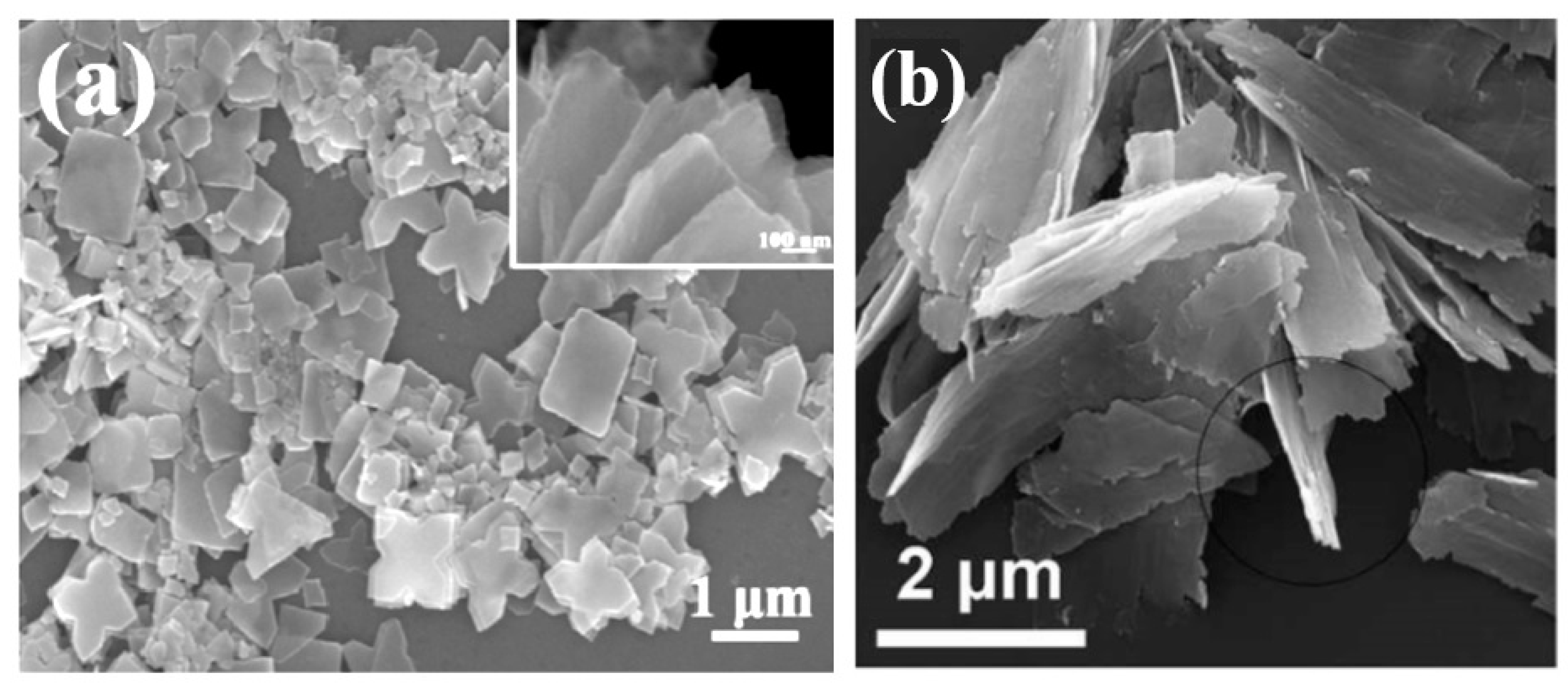 Nanomaterials 10 01392 g041 Nanomaterials 10 01392 g041
