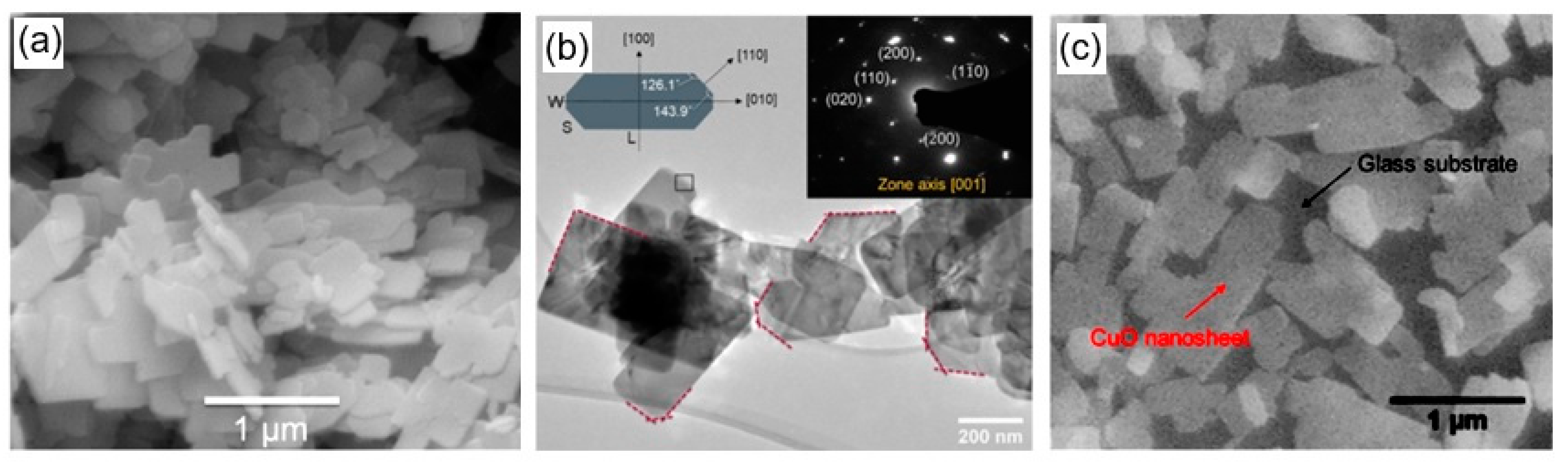 Nanomaterials 10 01392 g047 Nanomaterials 10 01392 g047