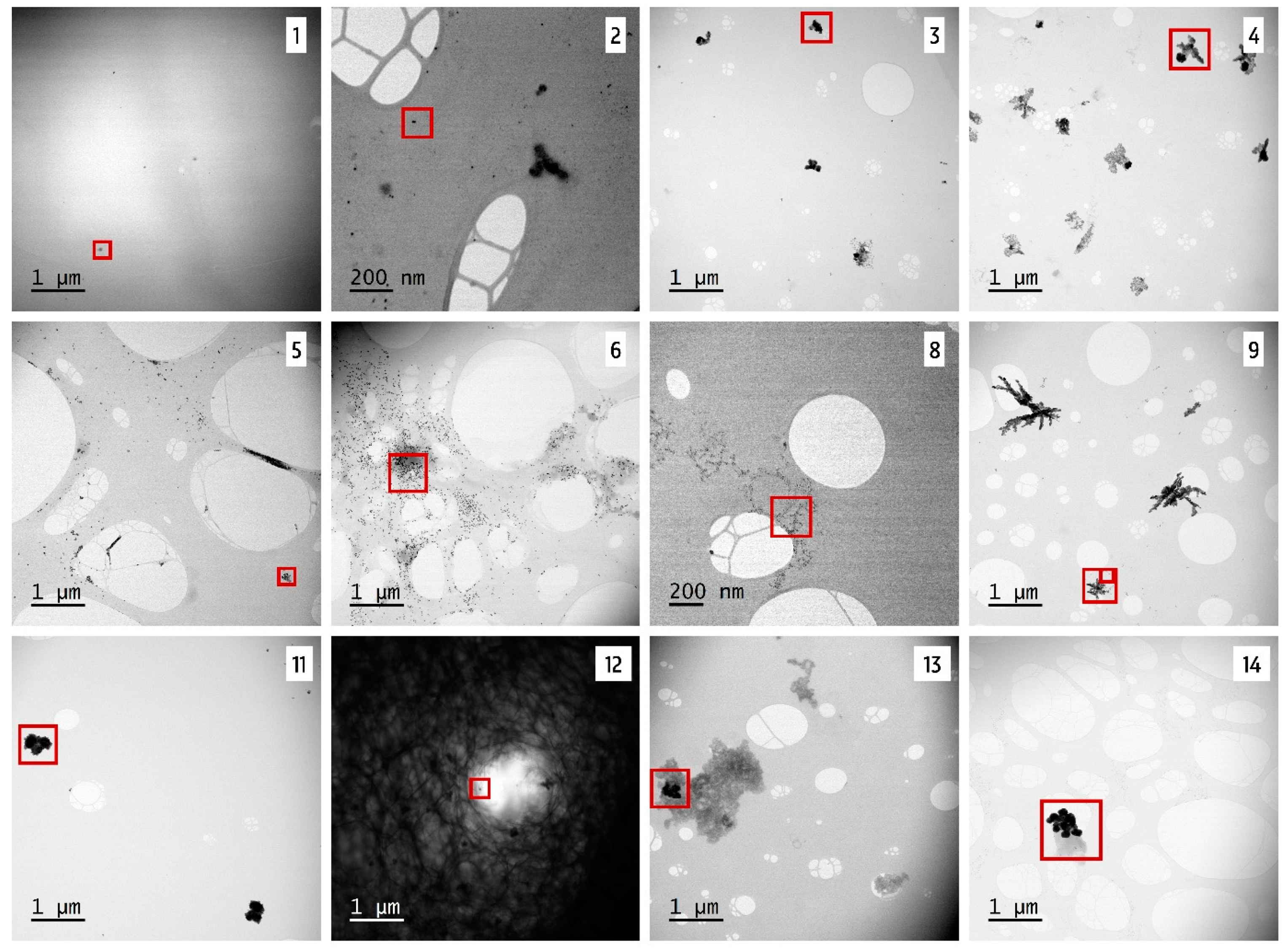 Nanomaterials 10 01394 g007