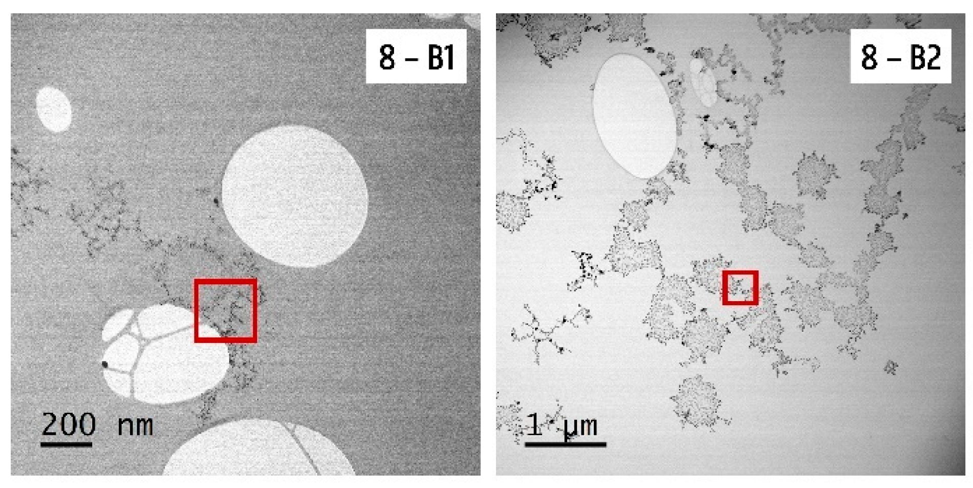Nanomaterials 10 01394 g010