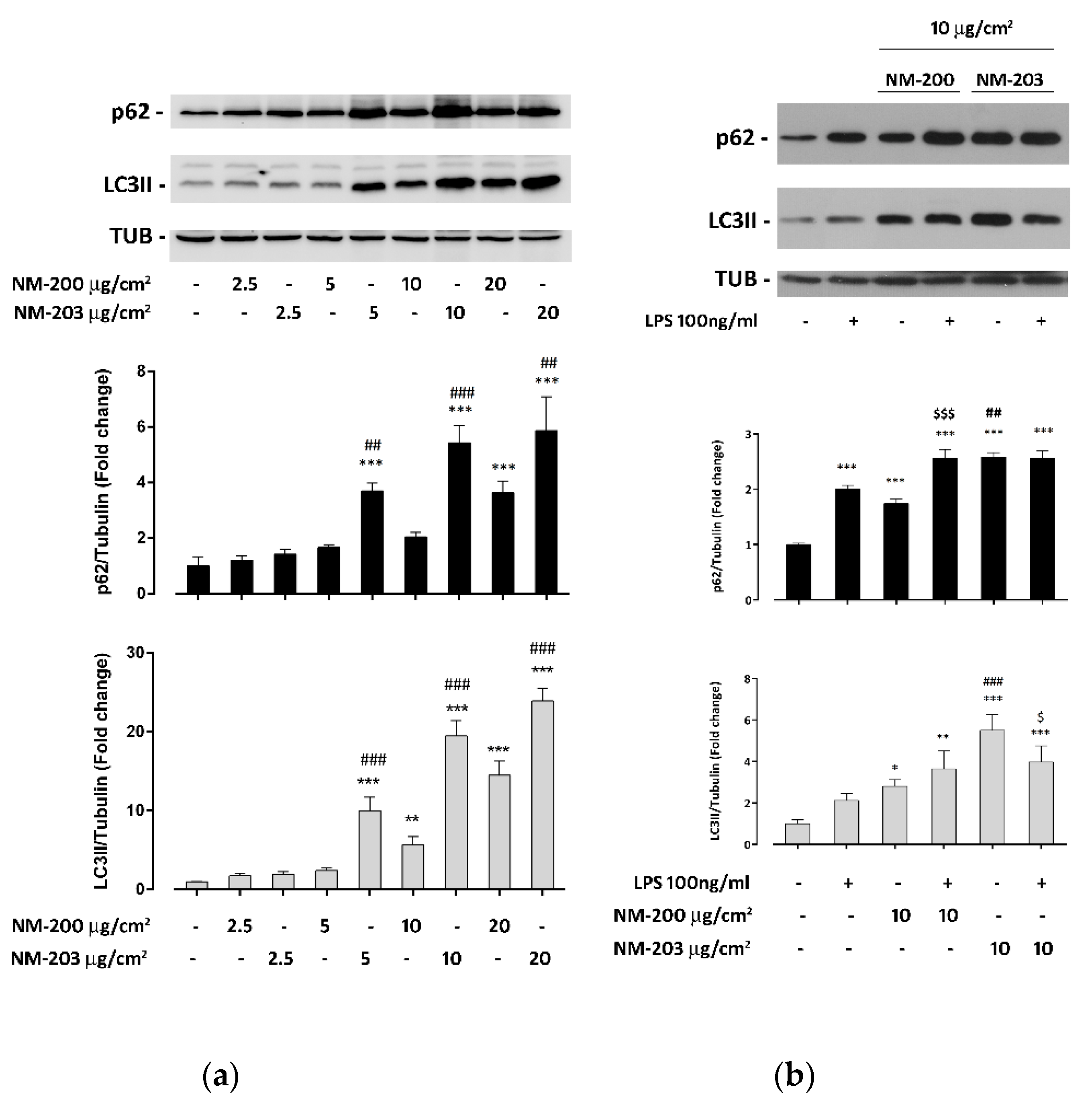 Nanomaterials 10 01395 g002 Nanomaterials 10 01395 g002