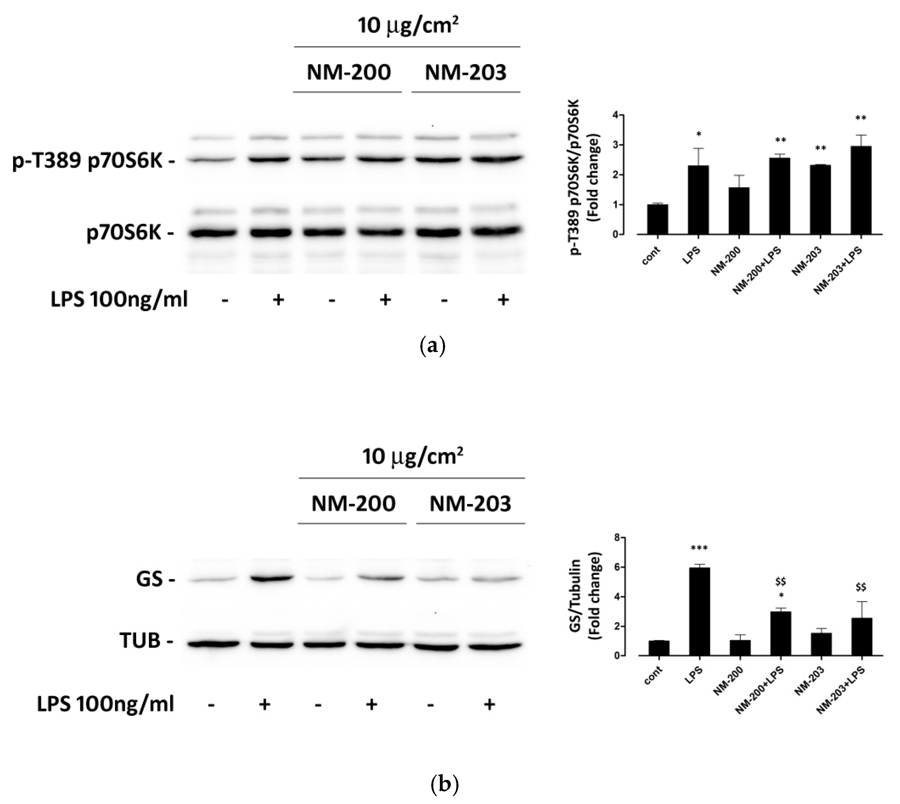 Nanomaterials 10 01395 g003 Nanomaterials 10 01395 g003