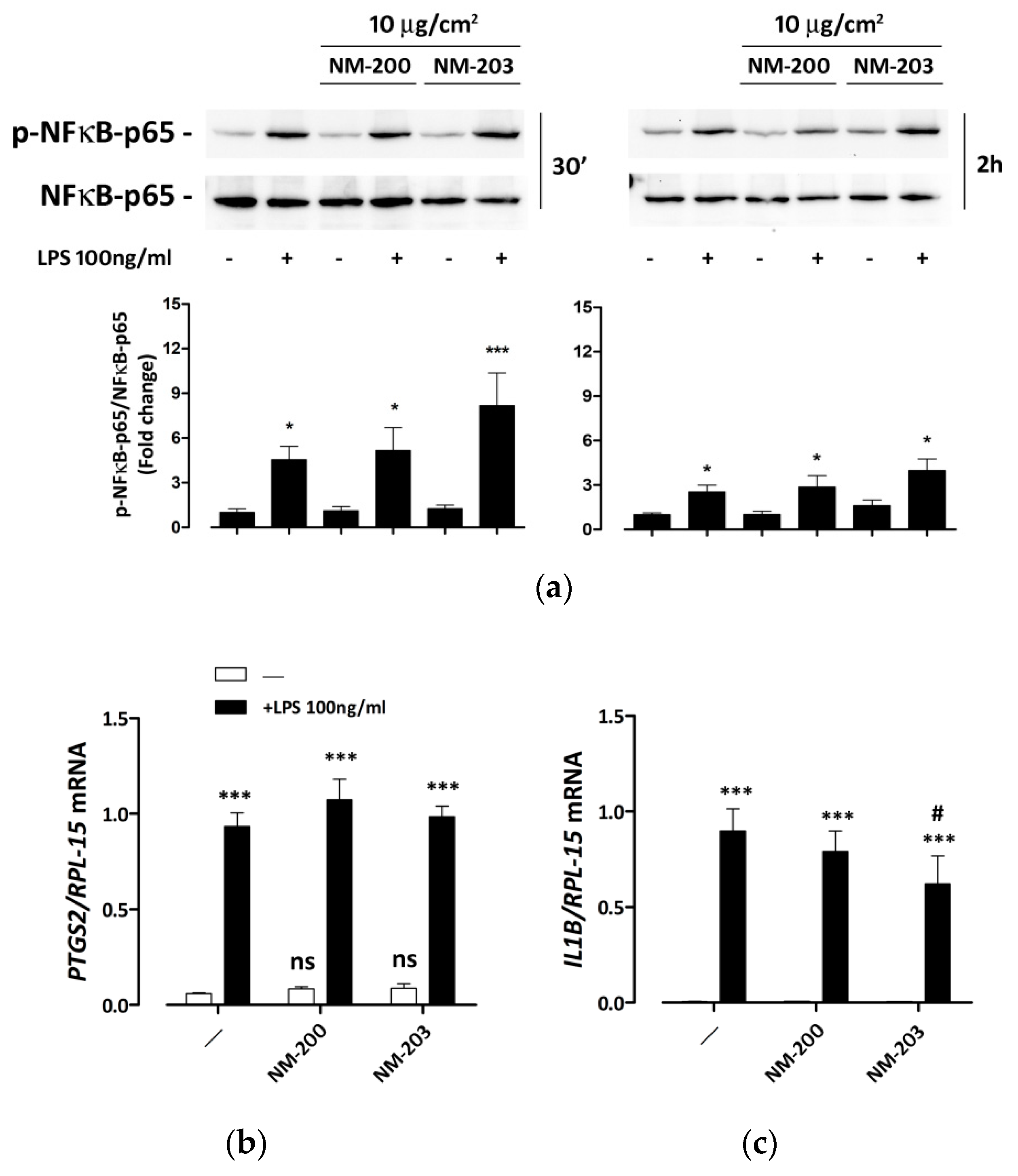 Nanomaterials 10 01395 g004 Nanomaterials 10 01395 g004