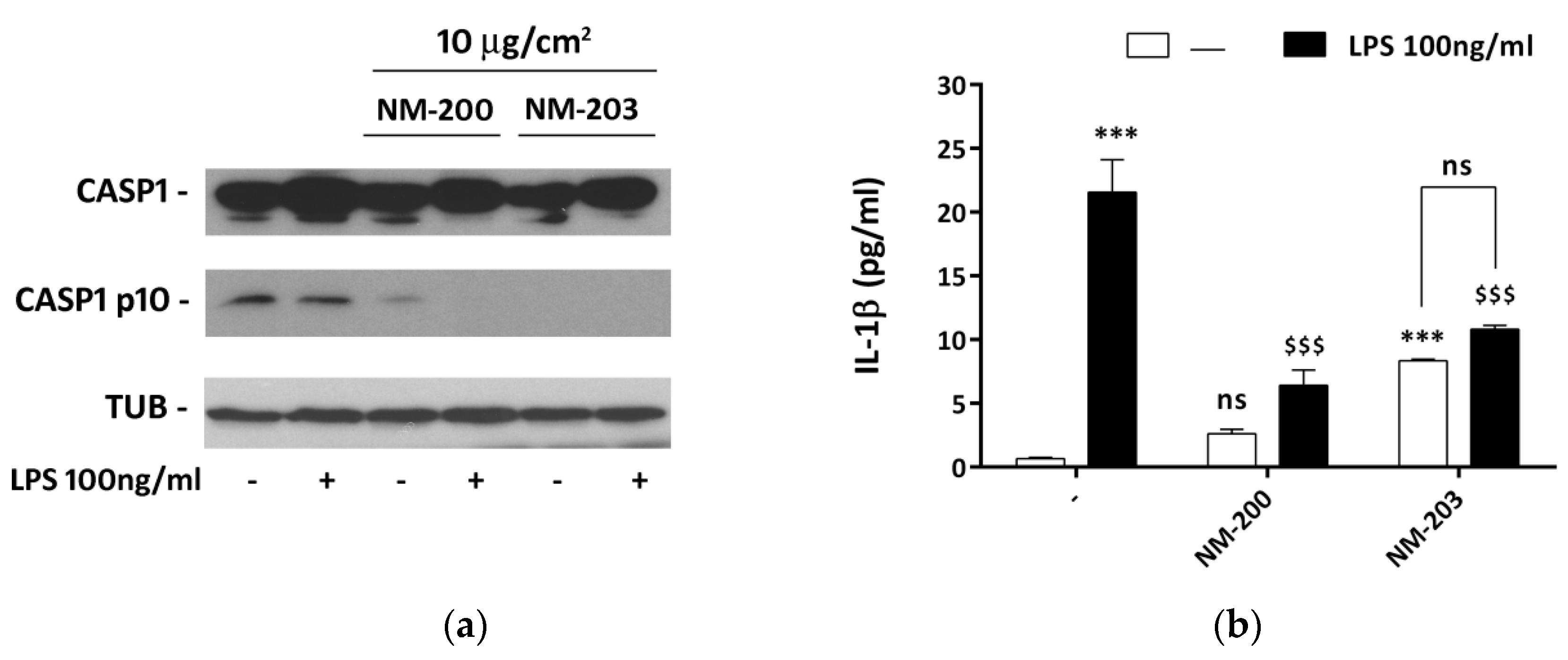 Nanomaterials 10 01395 g005 Nanomaterials 10 01395 g005