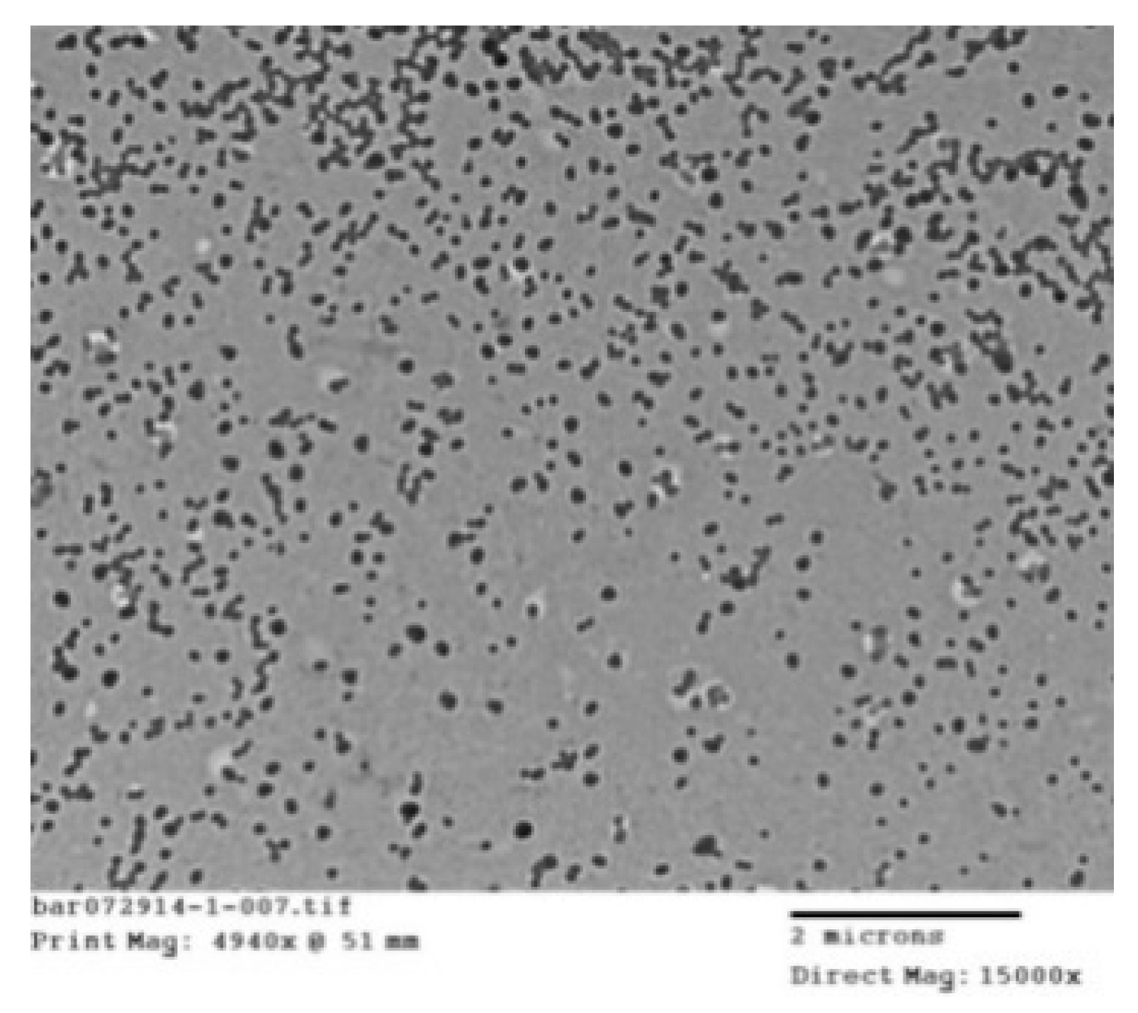 Nanomaterials 10 01400 g004