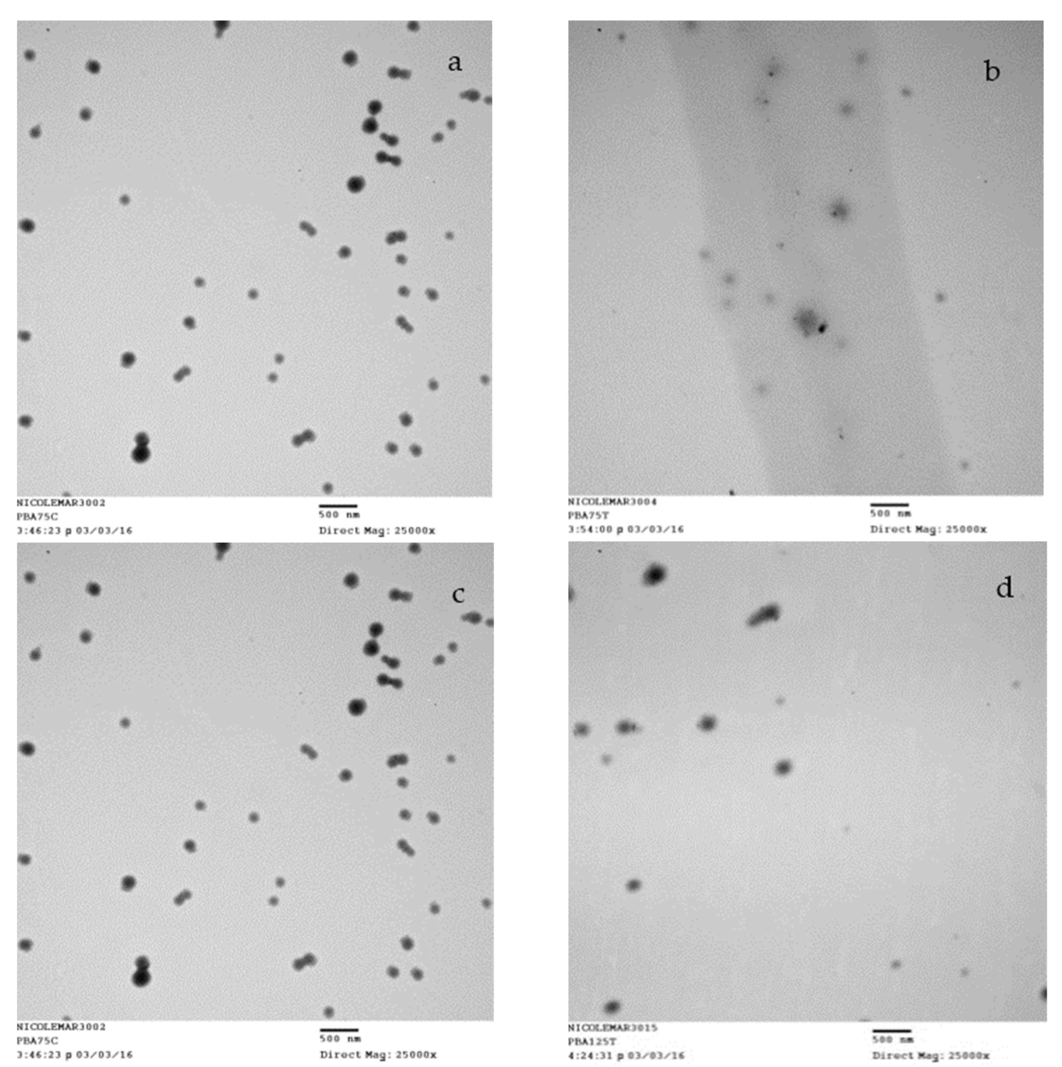 Nanomaterials 10 01400 g005