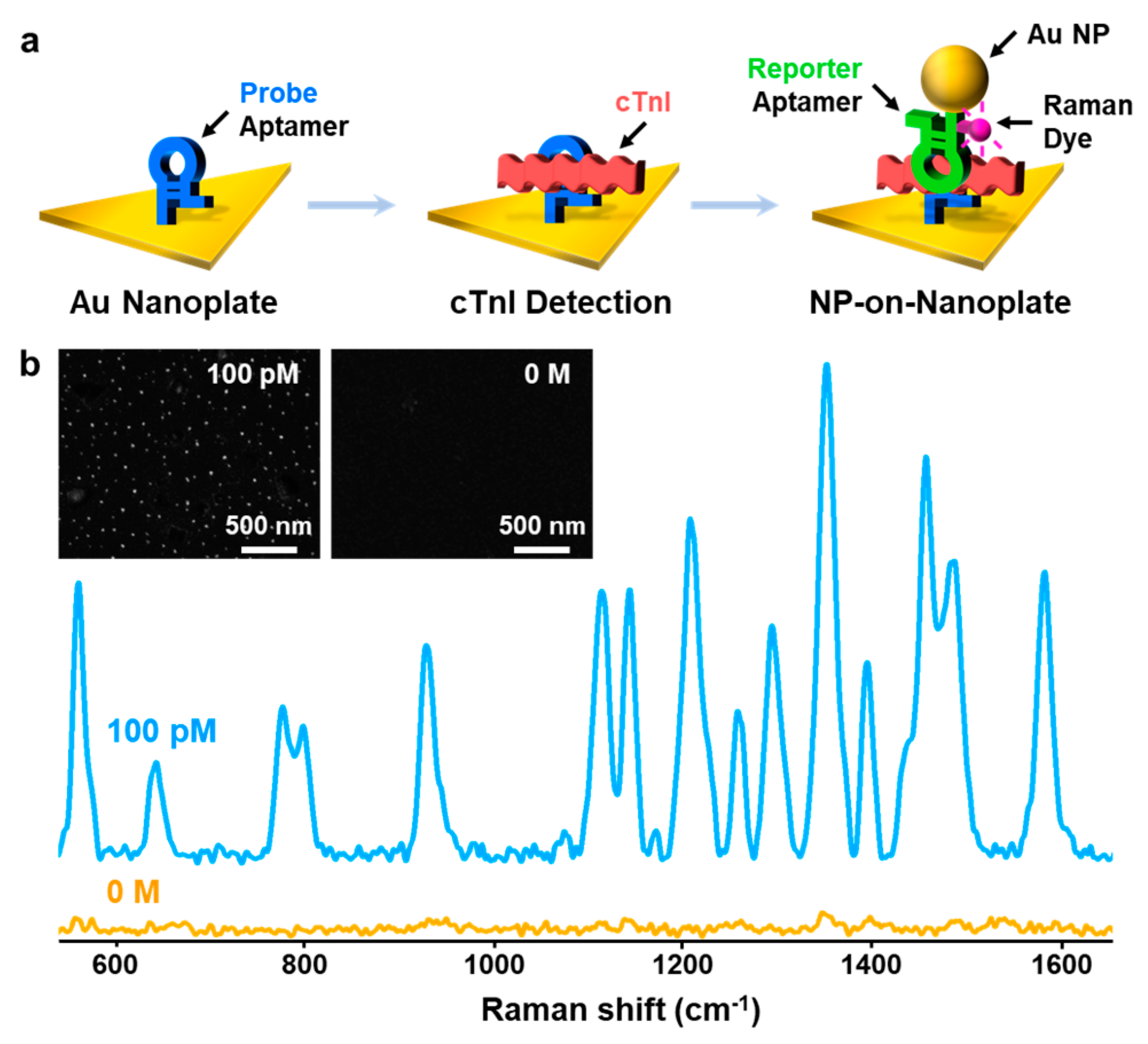 Nanomaterials 10 01402 g001