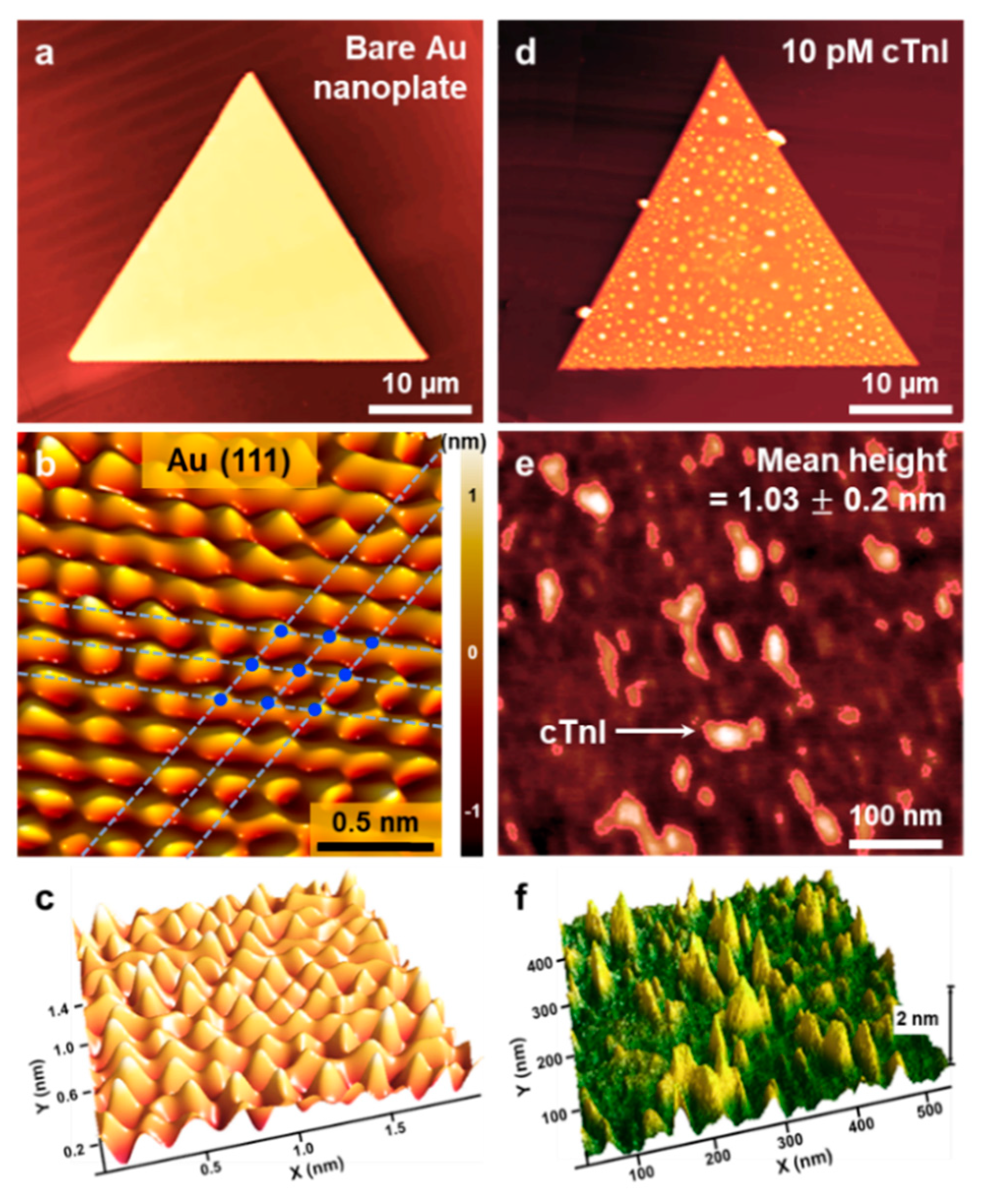 Nanomaterials 10 01402 g002