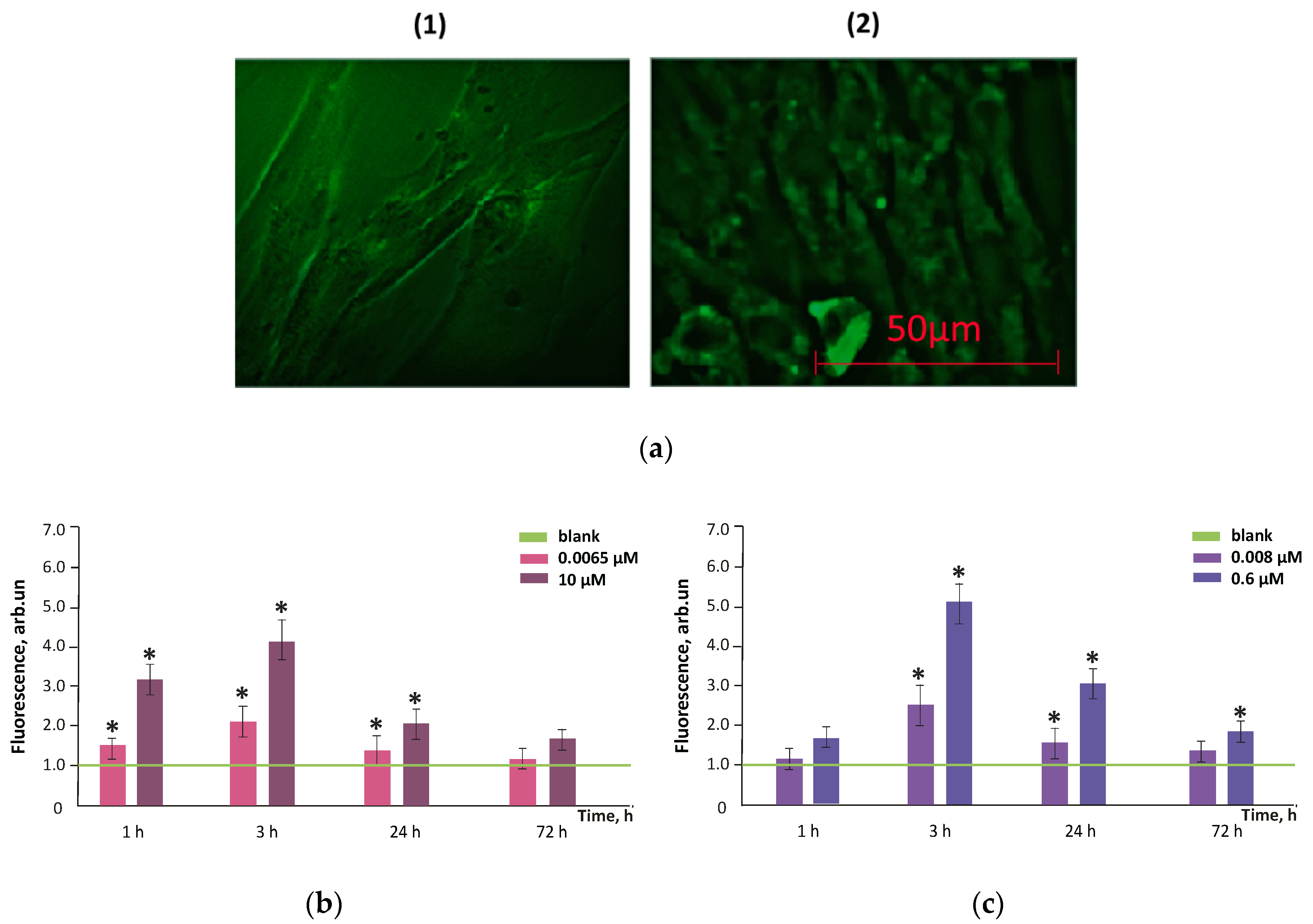 Nanomaterials 10 01405 g006 Nanomaterials 10 01405 g006