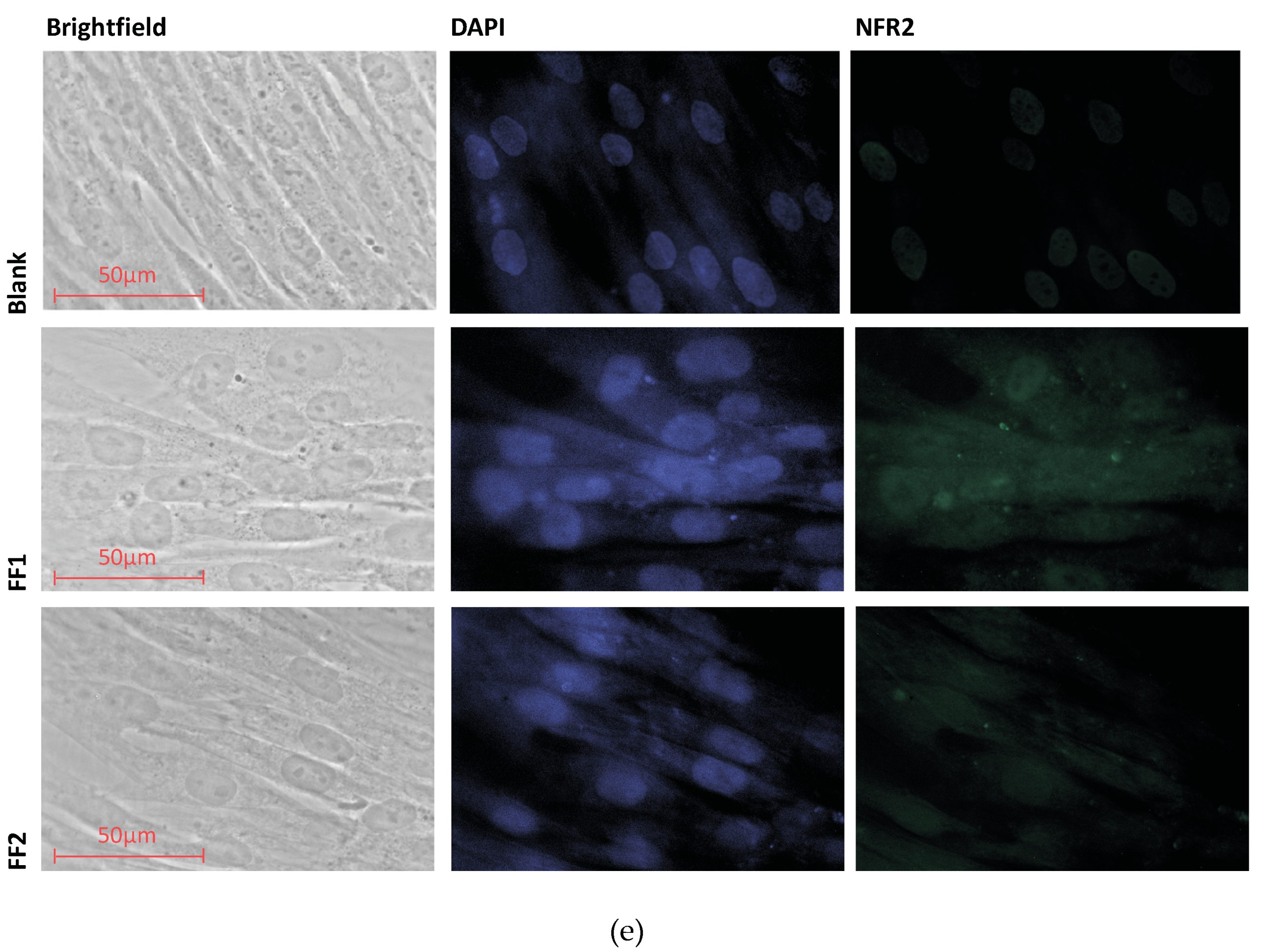 Nanomaterials 10 01405 g011b Nanomaterials 10 01405 g011b