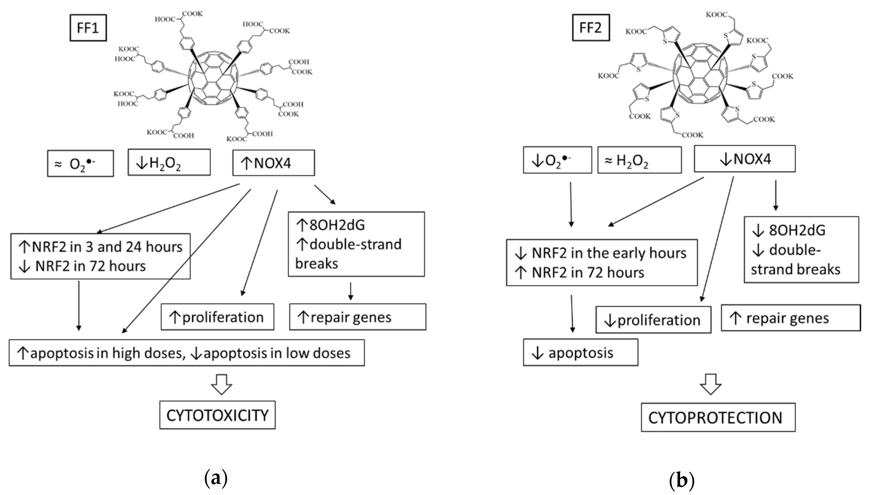 Nanomaterials 10 01405 g016 Nanomaterials 10 01405 g016