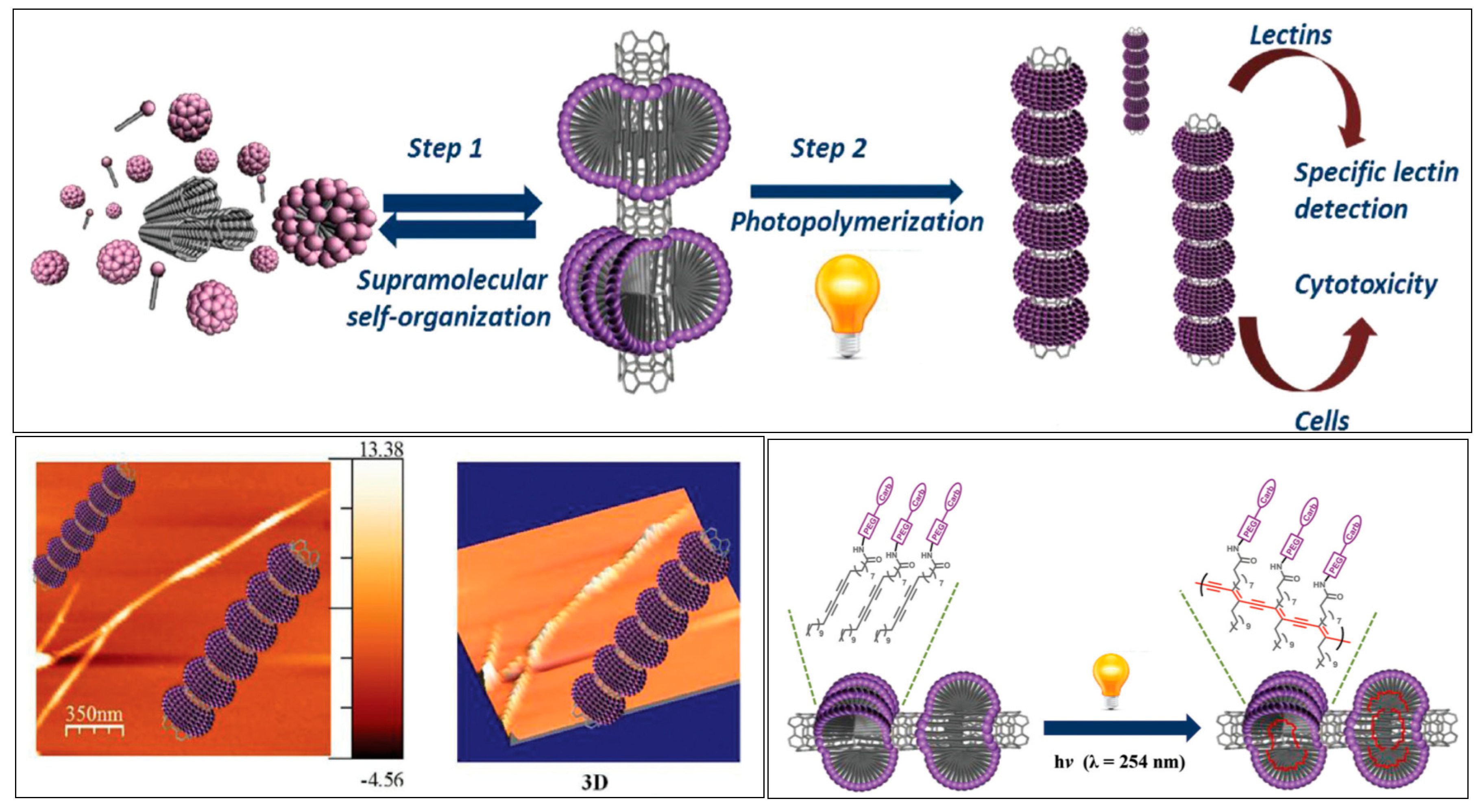 Nanomaterials 10 01406 g004 Nanomaterials 10 01406 g004