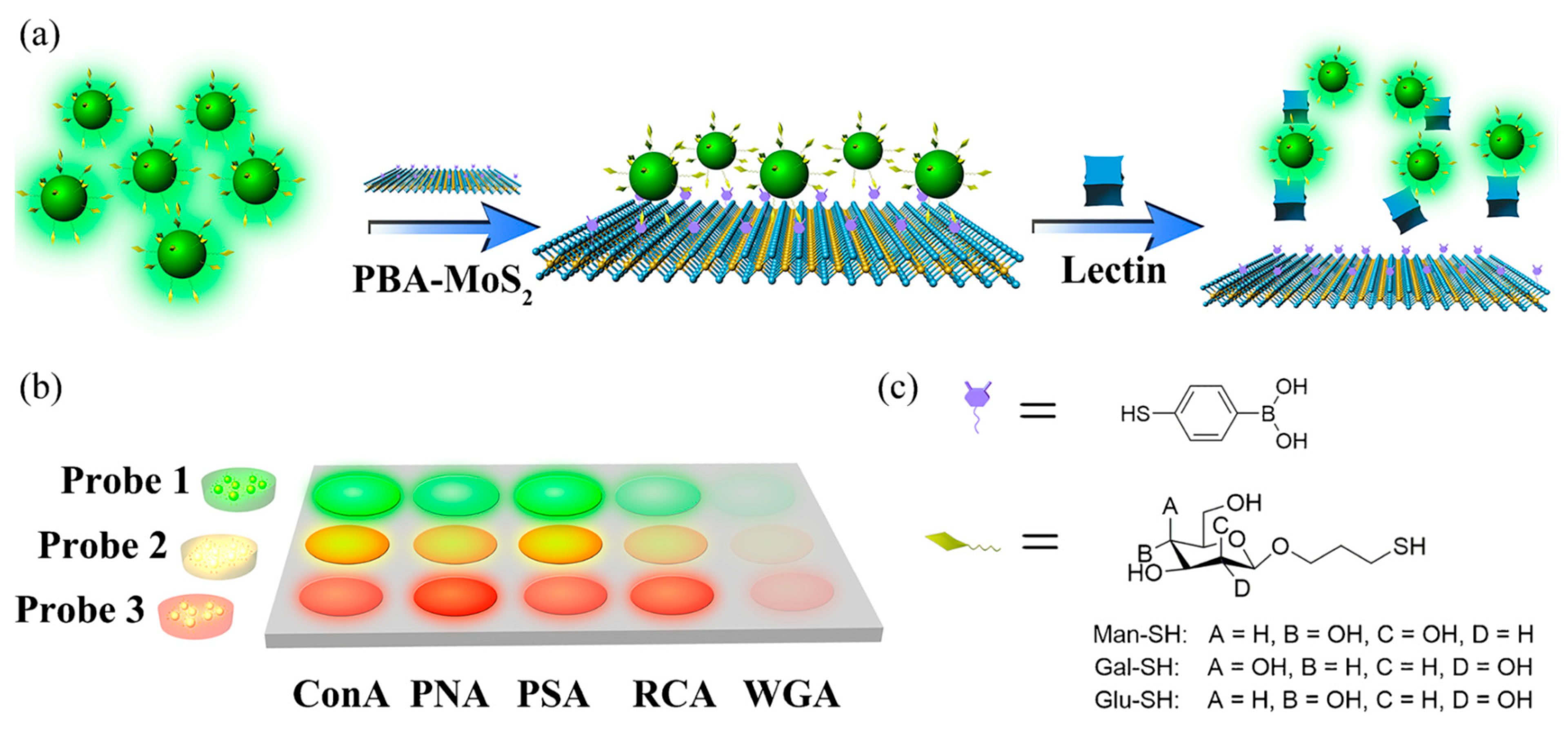 Nanomaterials 10 01406 g009 Nanomaterials 10 01406 g009