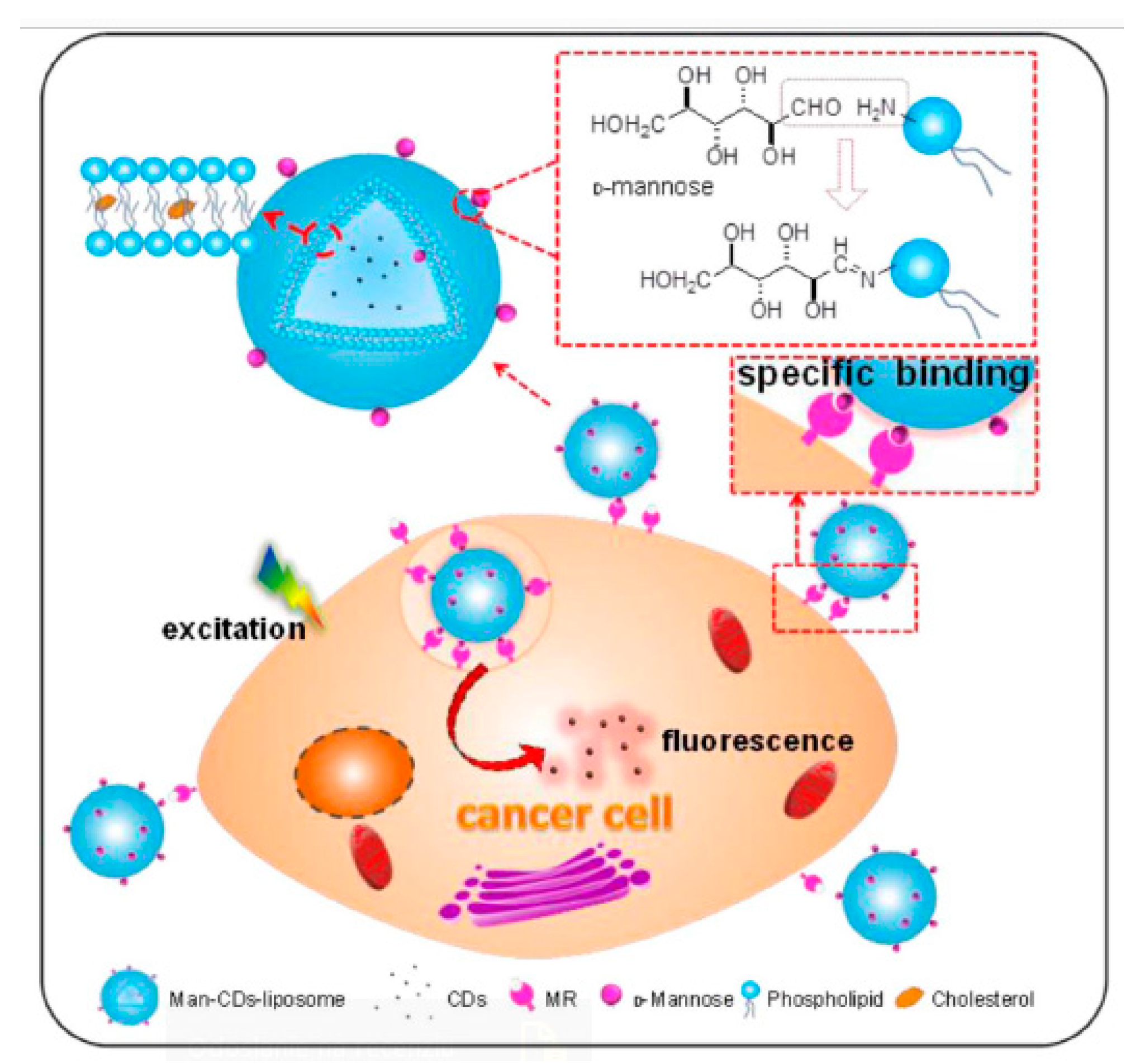 Nanomaterials 10 01406 g015 Nanomaterials 10 01406 g015